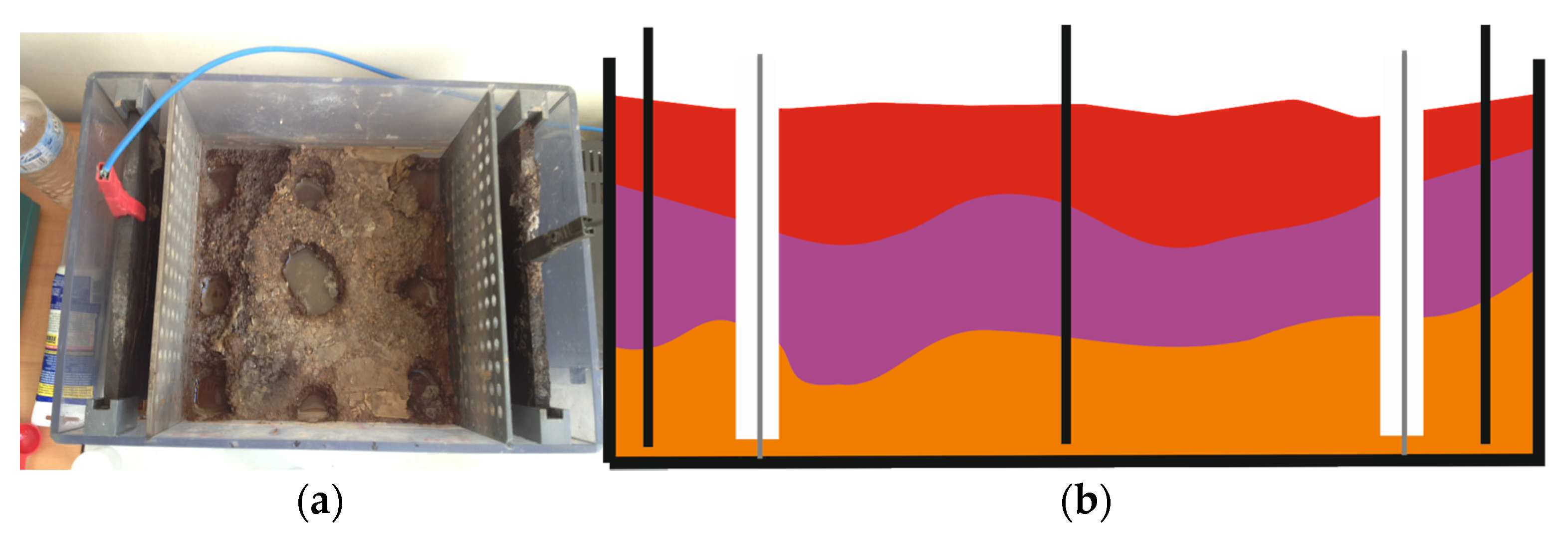 Proceedings 02 01412 g001