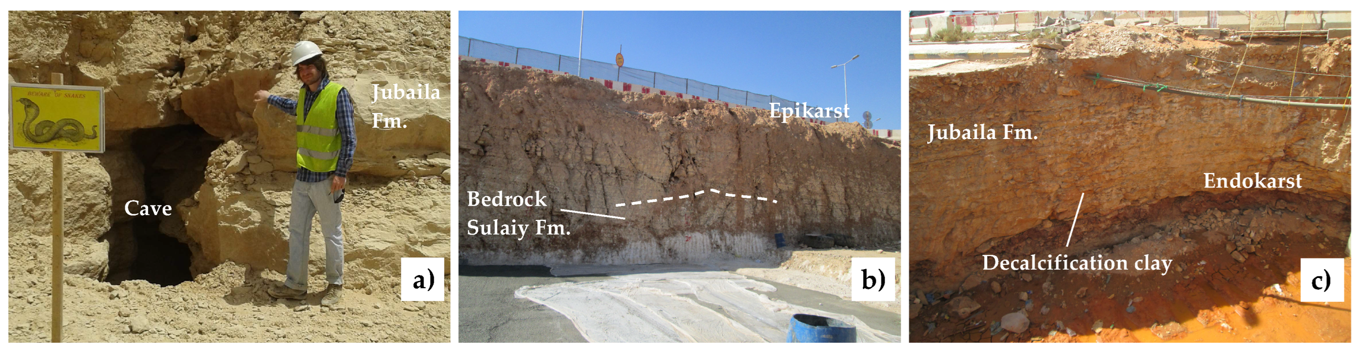 Proceedings 02 01429 g001