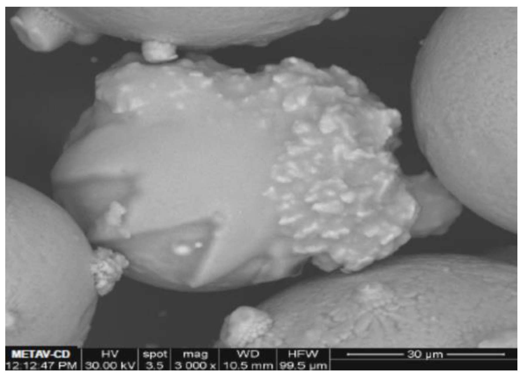 Proceedings 02 01434 g006