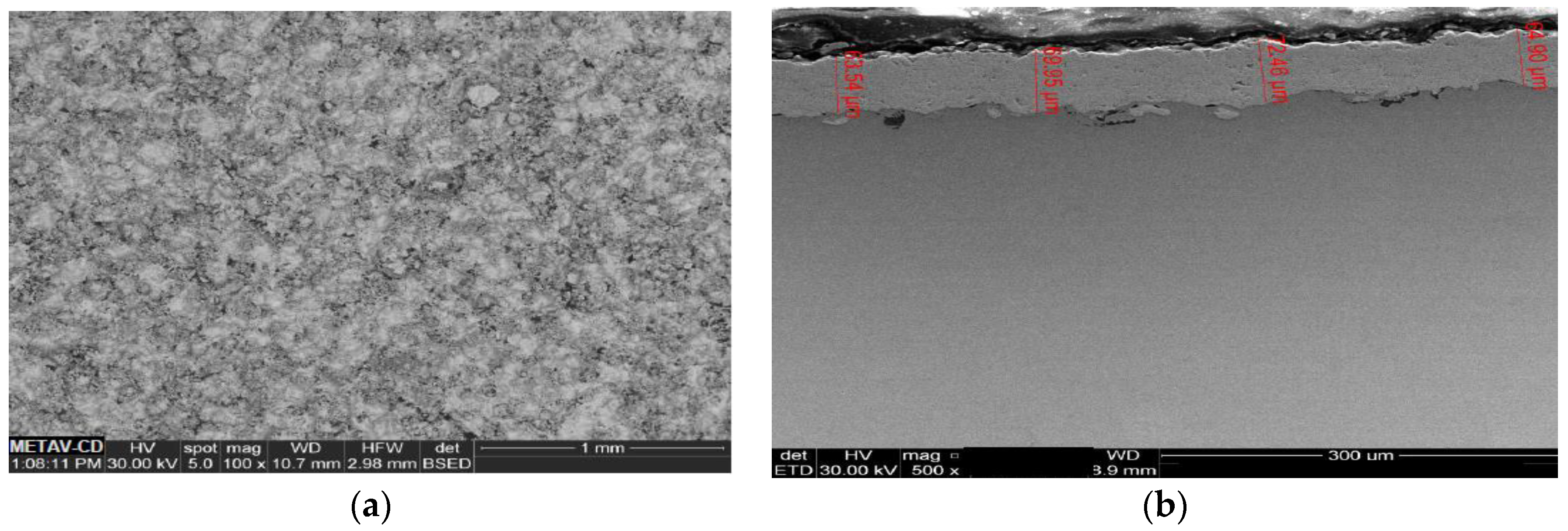 Proceedings 02 01434 g009