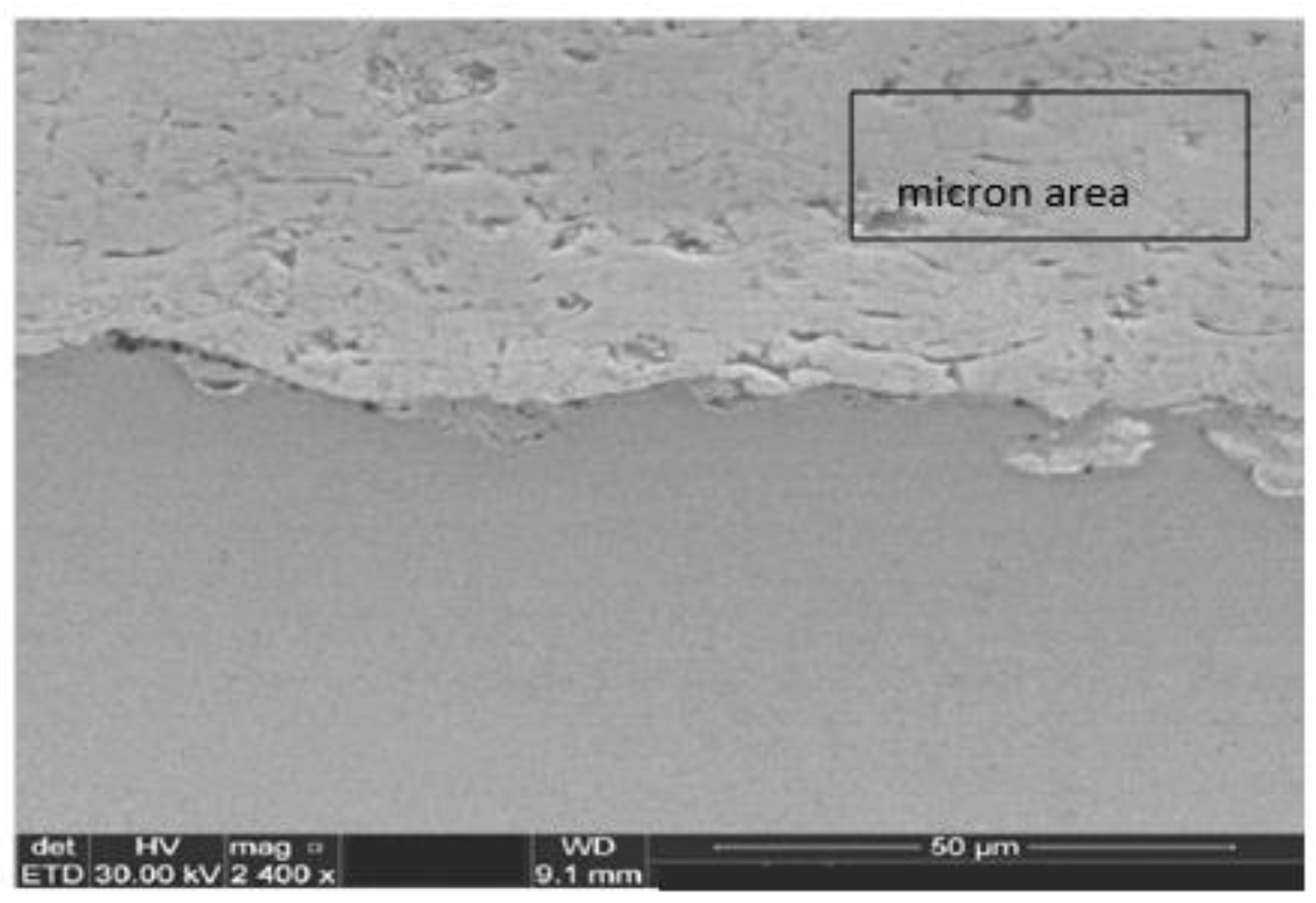 Proceedings 02 01434 g011