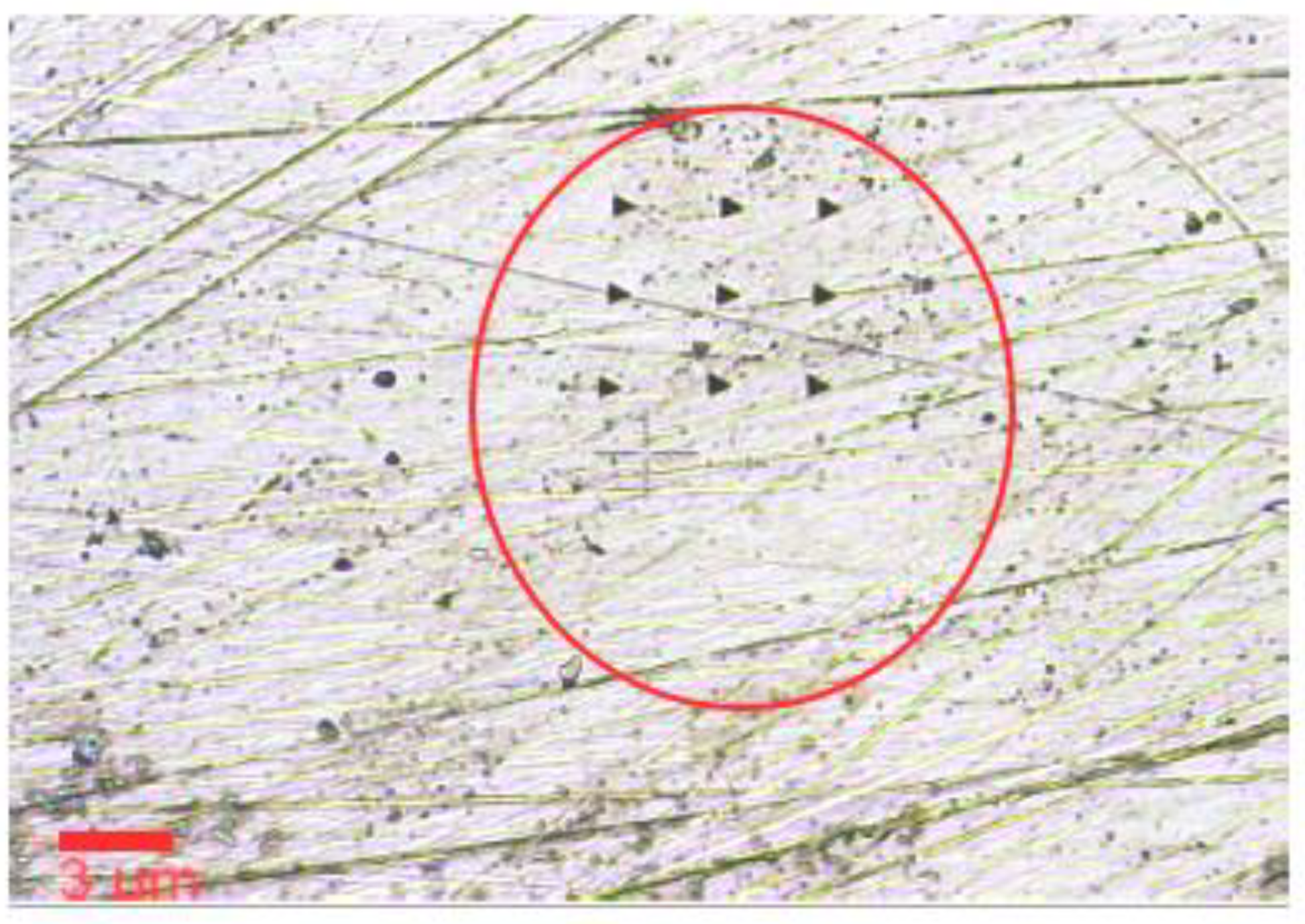 Proceedings 02 01434 g013