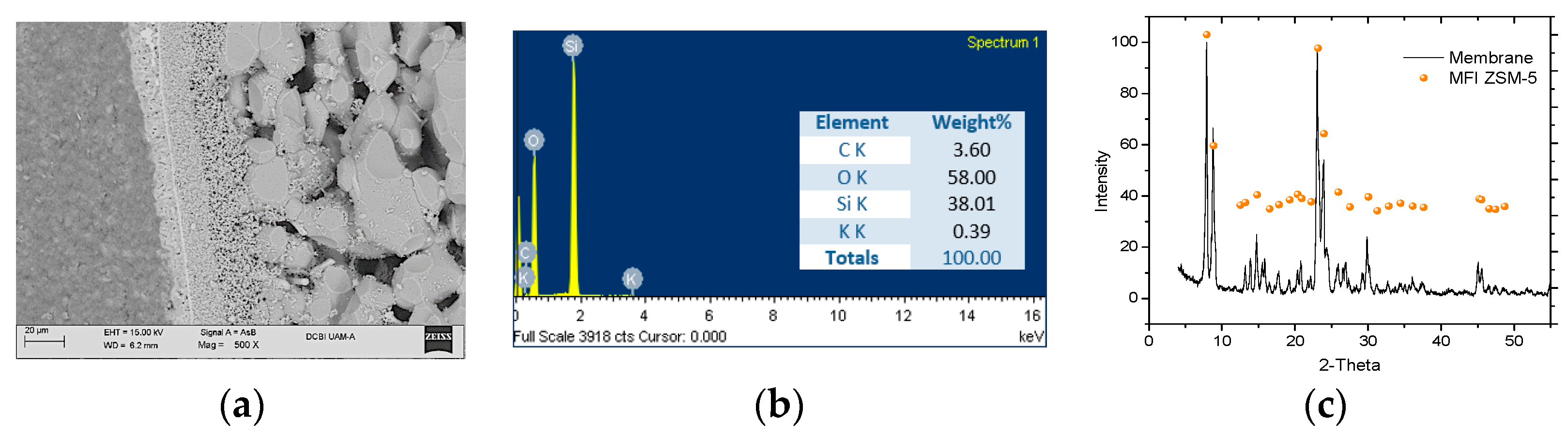 Proceedings 02 01436 g001