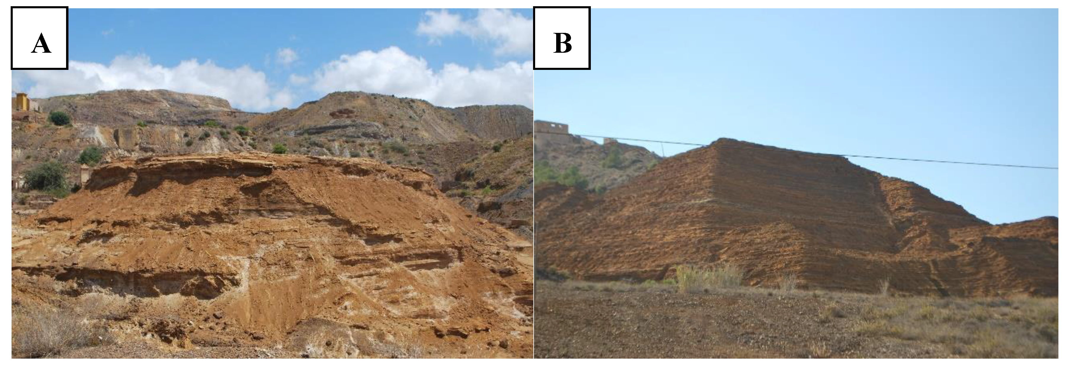 Proceedings 02 01451 g001 550