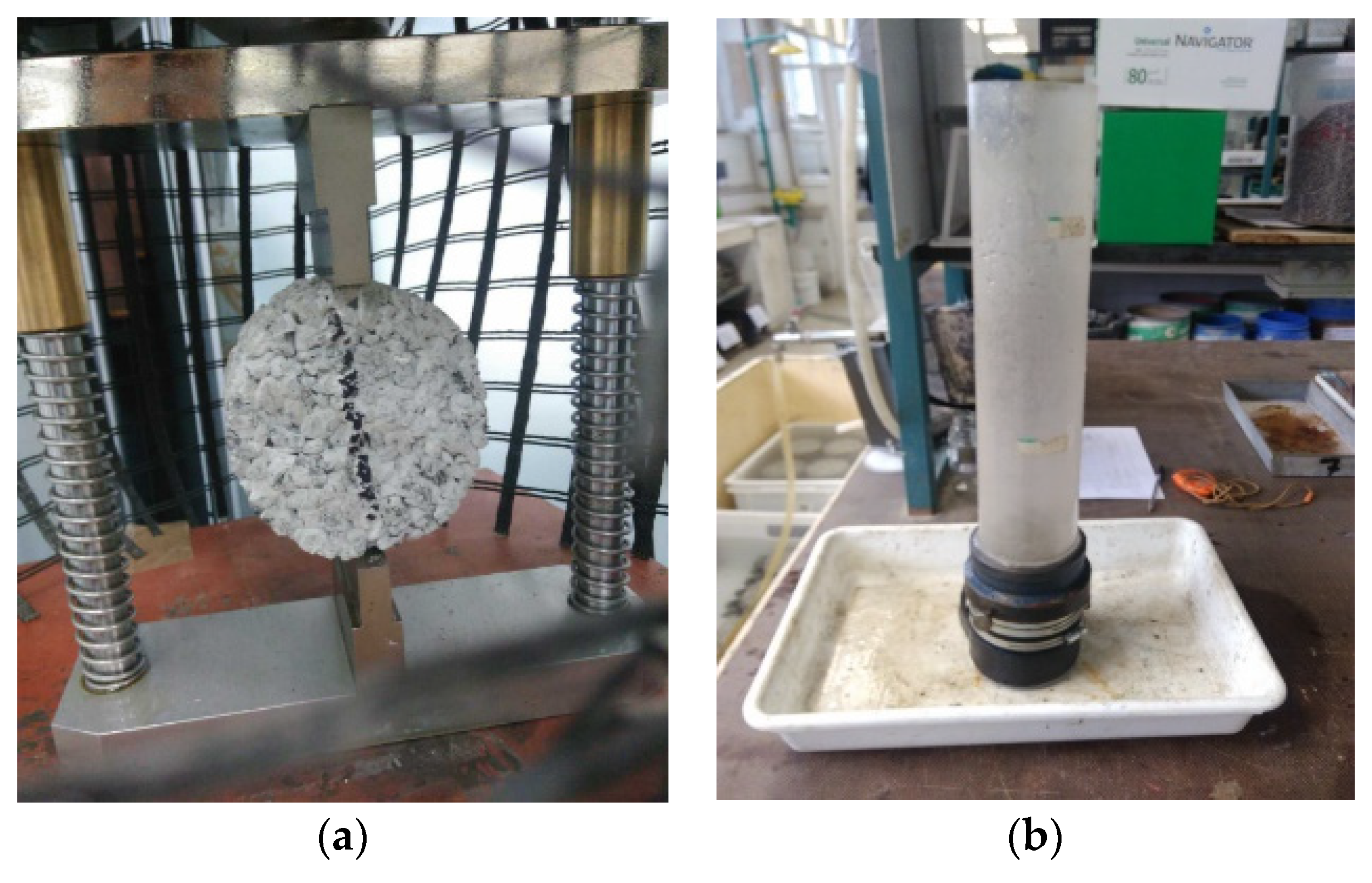 Proceedings 02 01453 g002 550