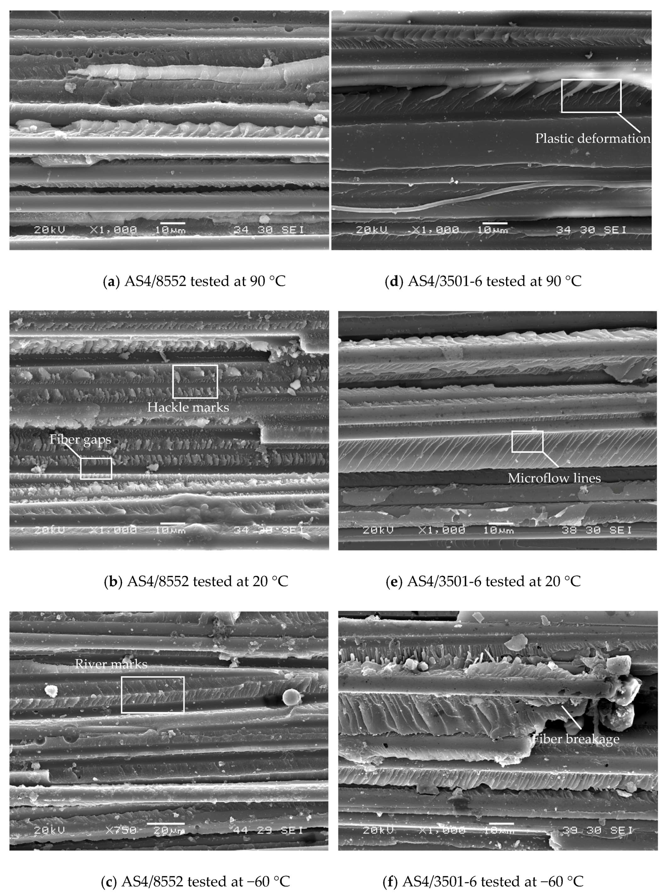 Proceedings 02 01477 g001 Proceedings 02 01477 g001