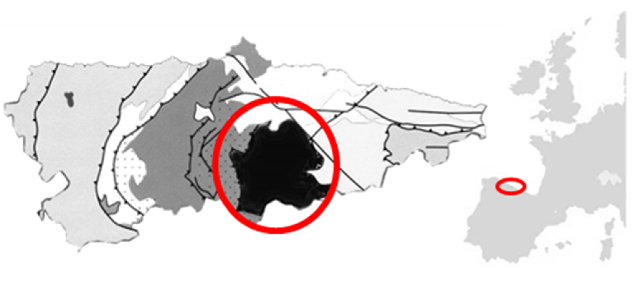 Proceedings 02 01495 g001 550