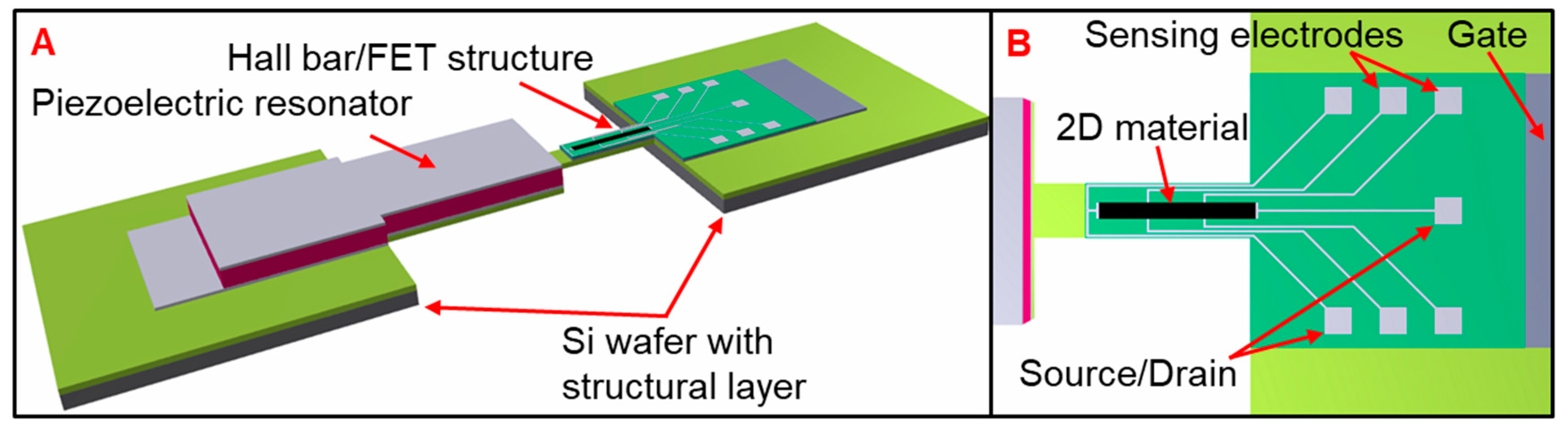 Proceedings 02 01513 g001