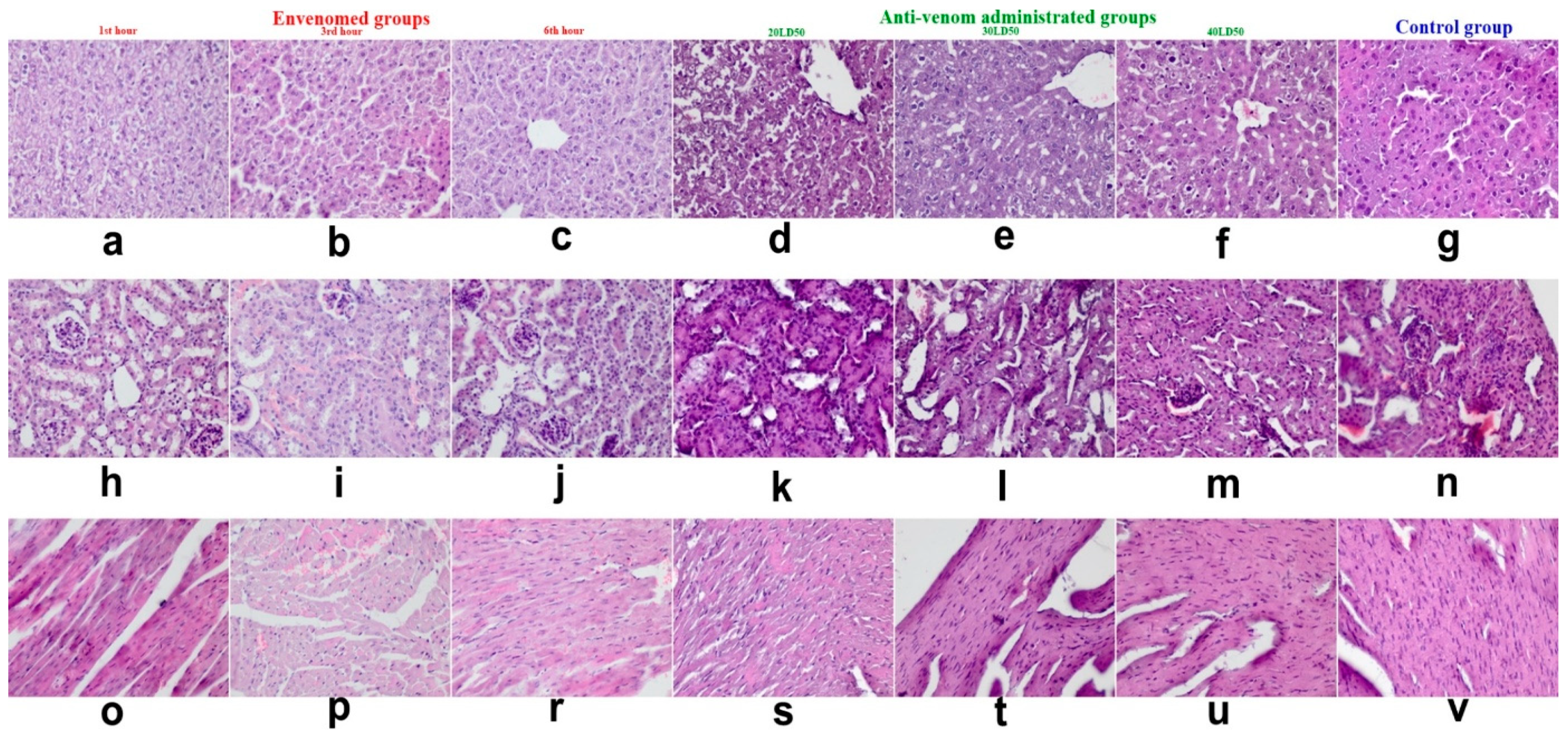 Proceedings 02 01523 g001 Proceedings 02 01523 g001