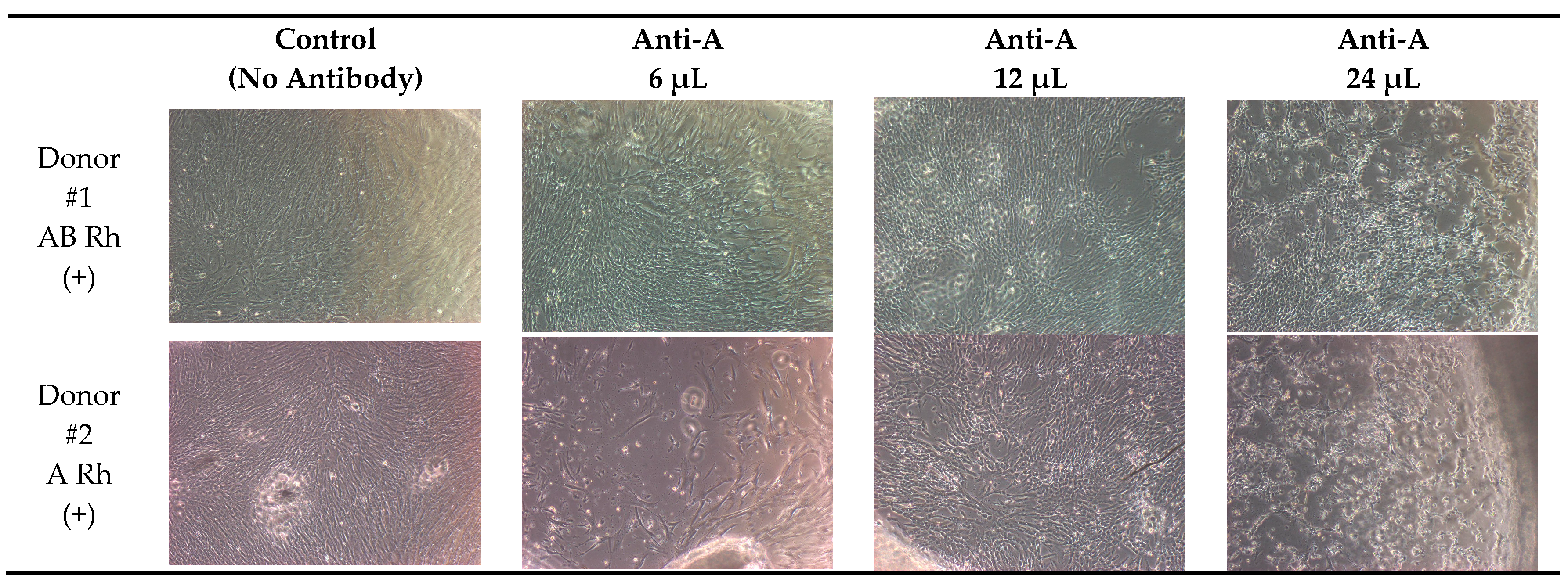 Proceedings 02 01535 g001a 550