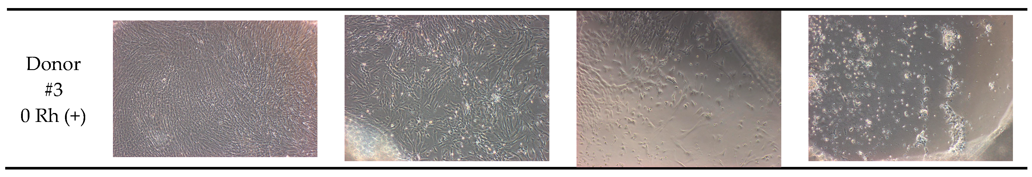 Proceedings 02 01535 g001b 550