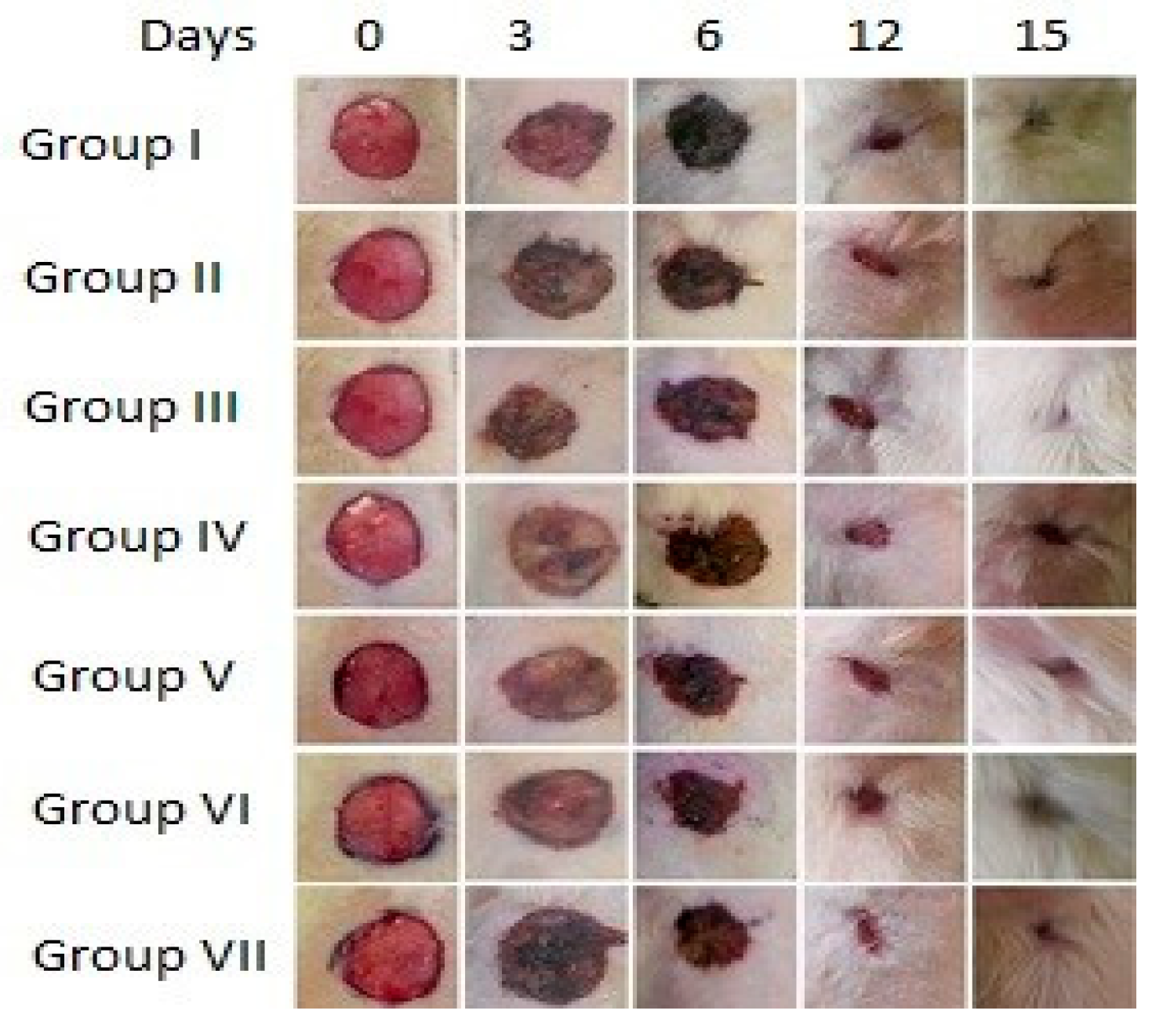 Proceedings 02 01537 g001