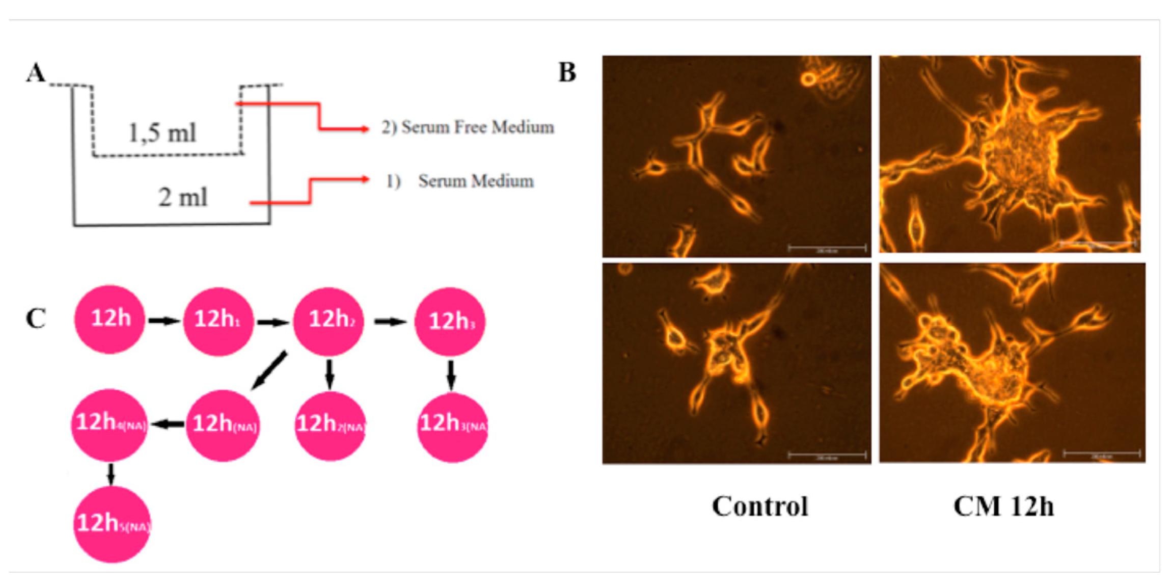 Proceedings 02 01540 g001 550