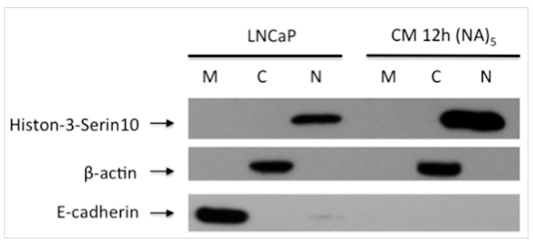 Proceedings 02 01540 g002 550