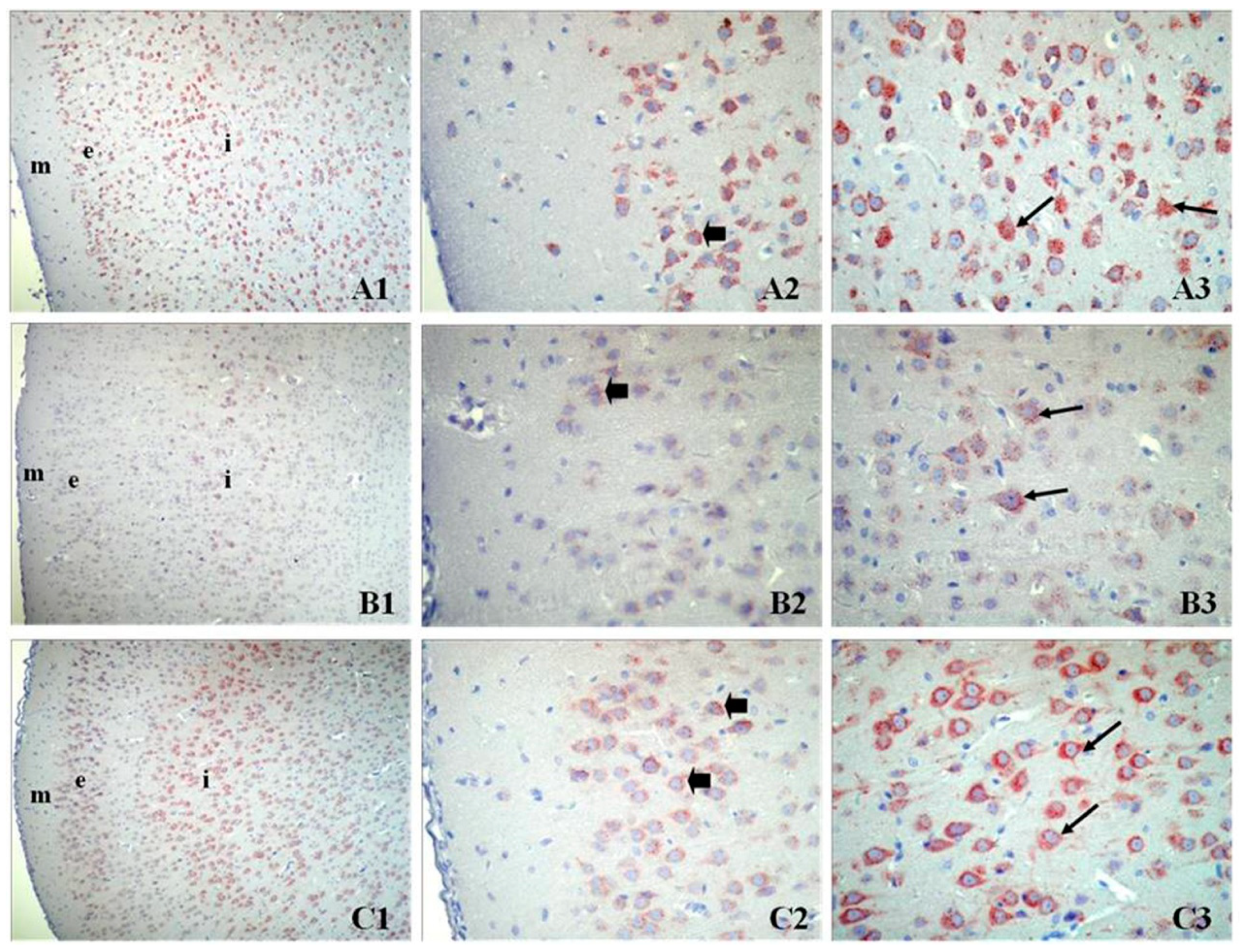 Proceedings 02 01545 g001 550