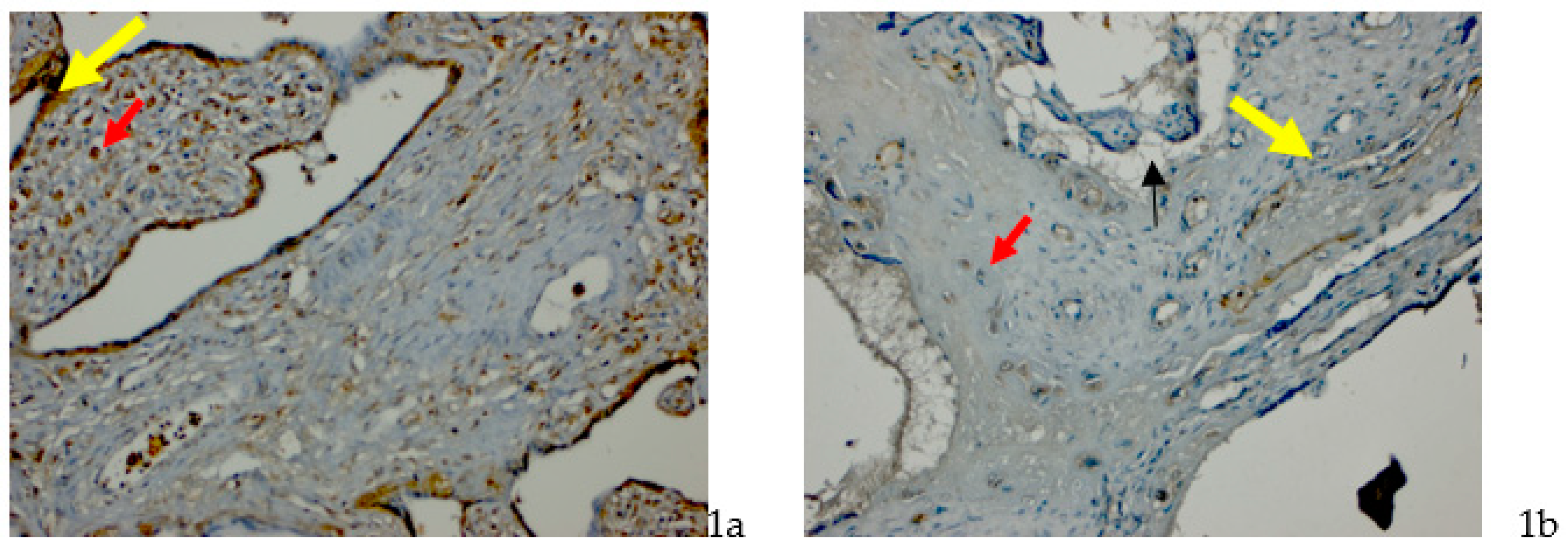 Proceedings 02 01548 g001