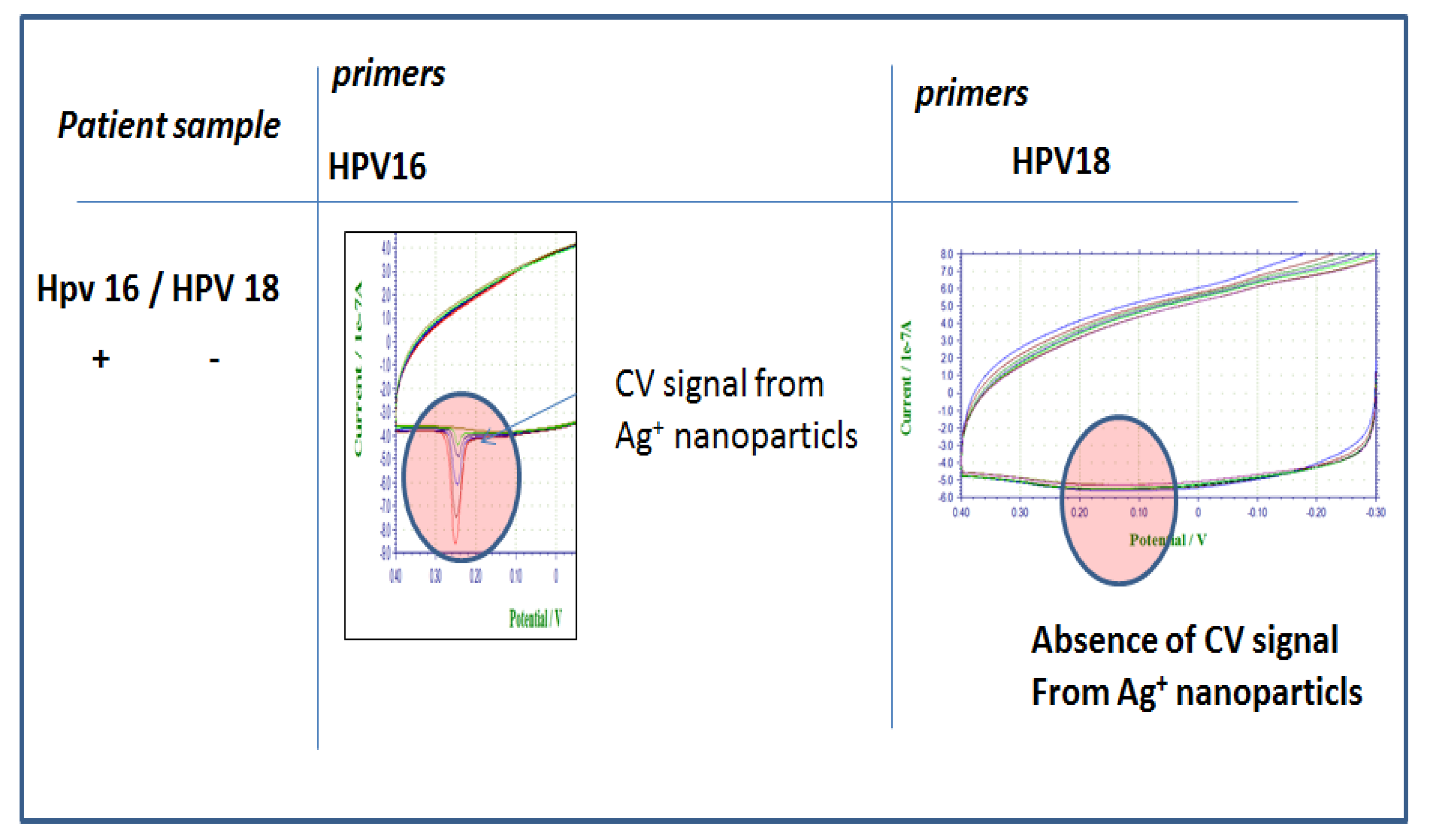 Proceedings 02 01556 g004 550