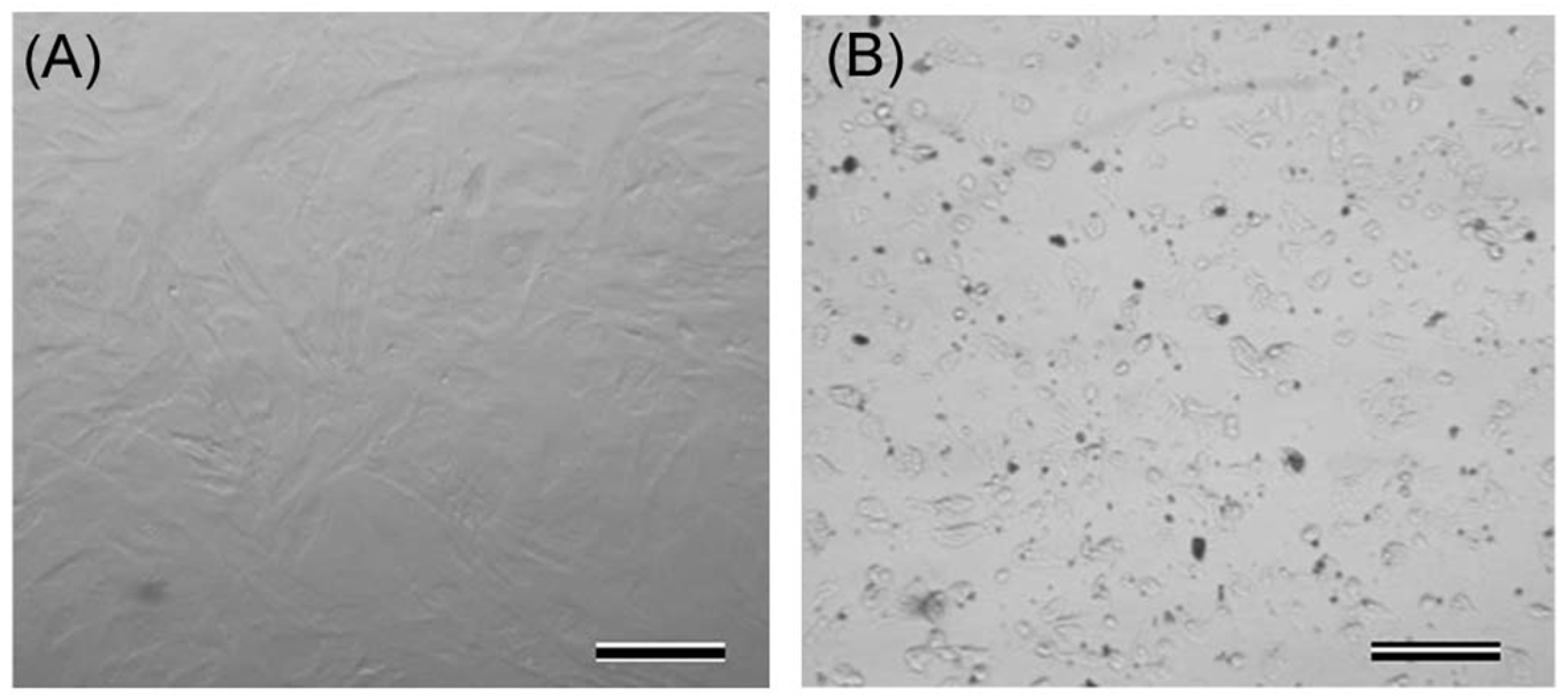 Proceedings 02 01557 g001