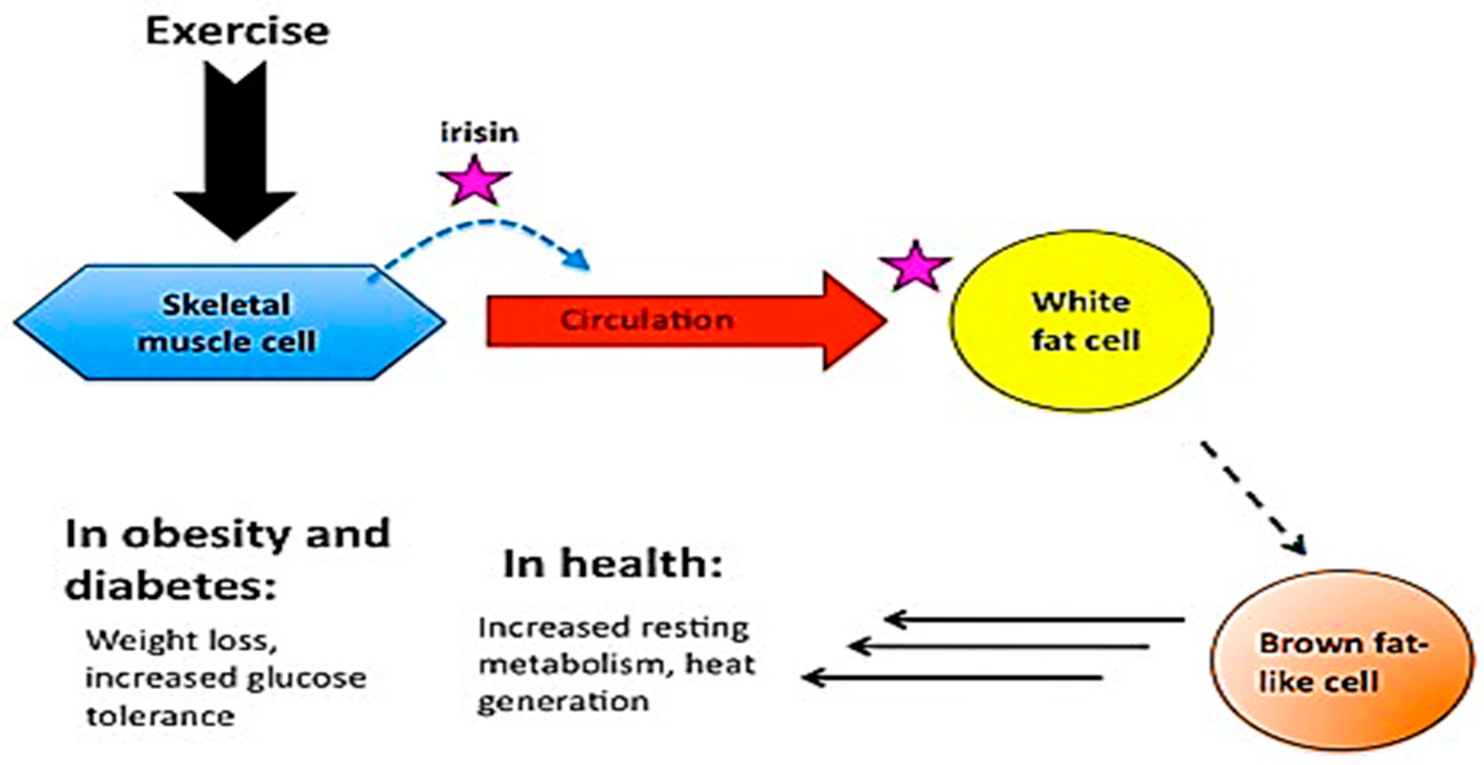 Proceedings 02 01561 g001