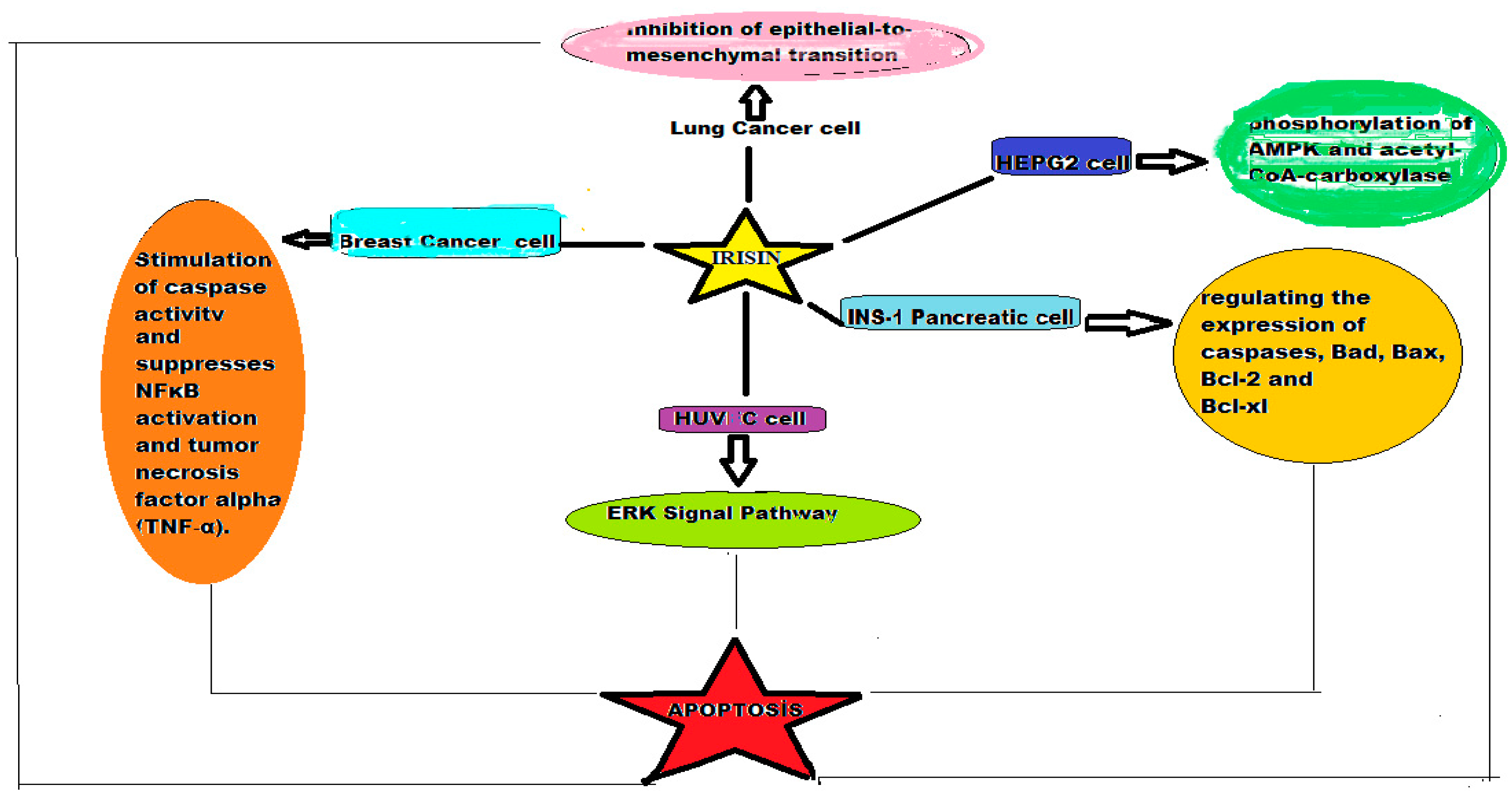 Proceedings 02 01561 g002