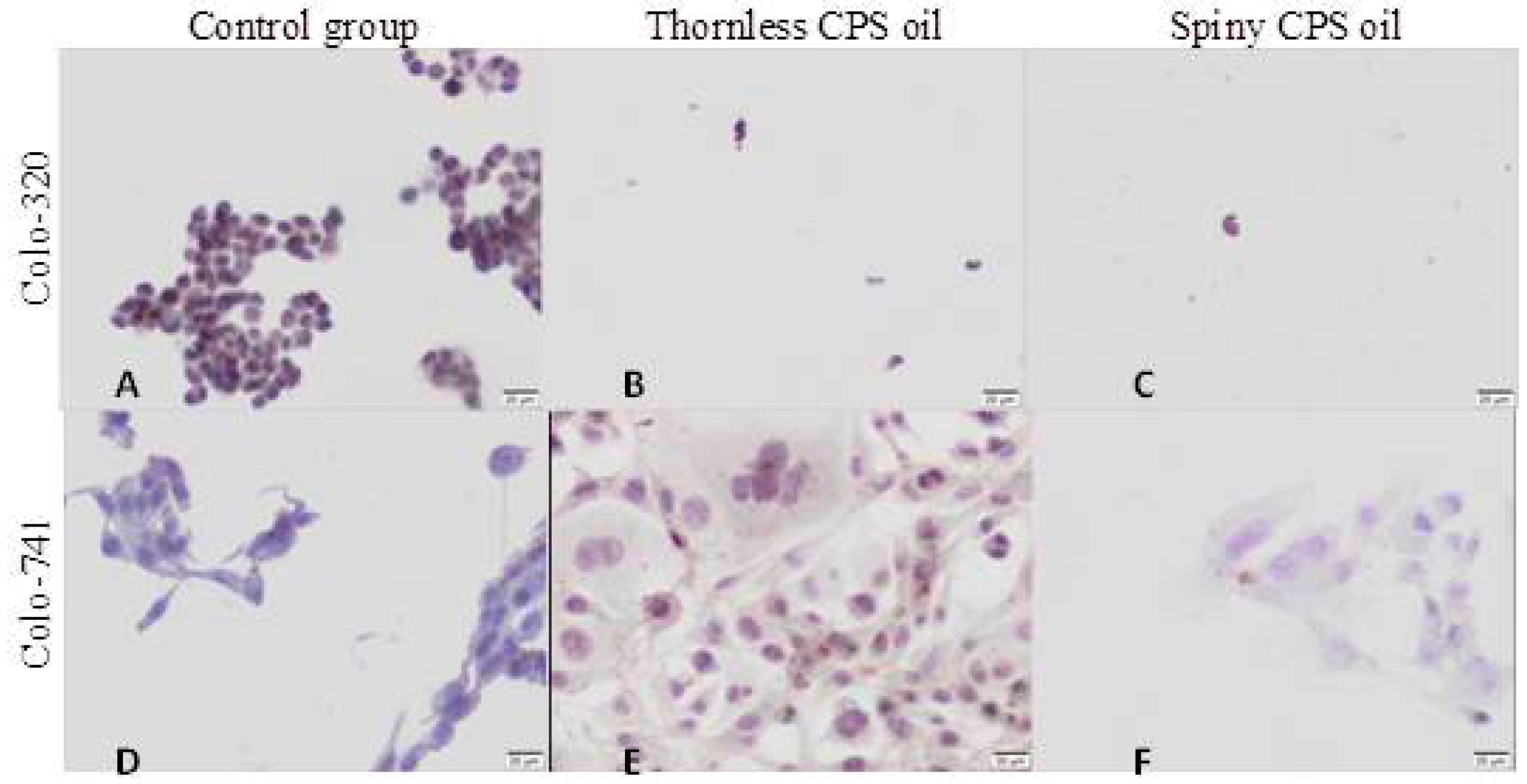 Proceedings 02 01566 g002