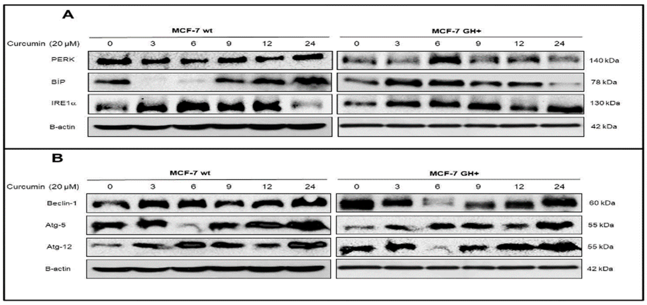 Proceedings 02 01568 g001 550