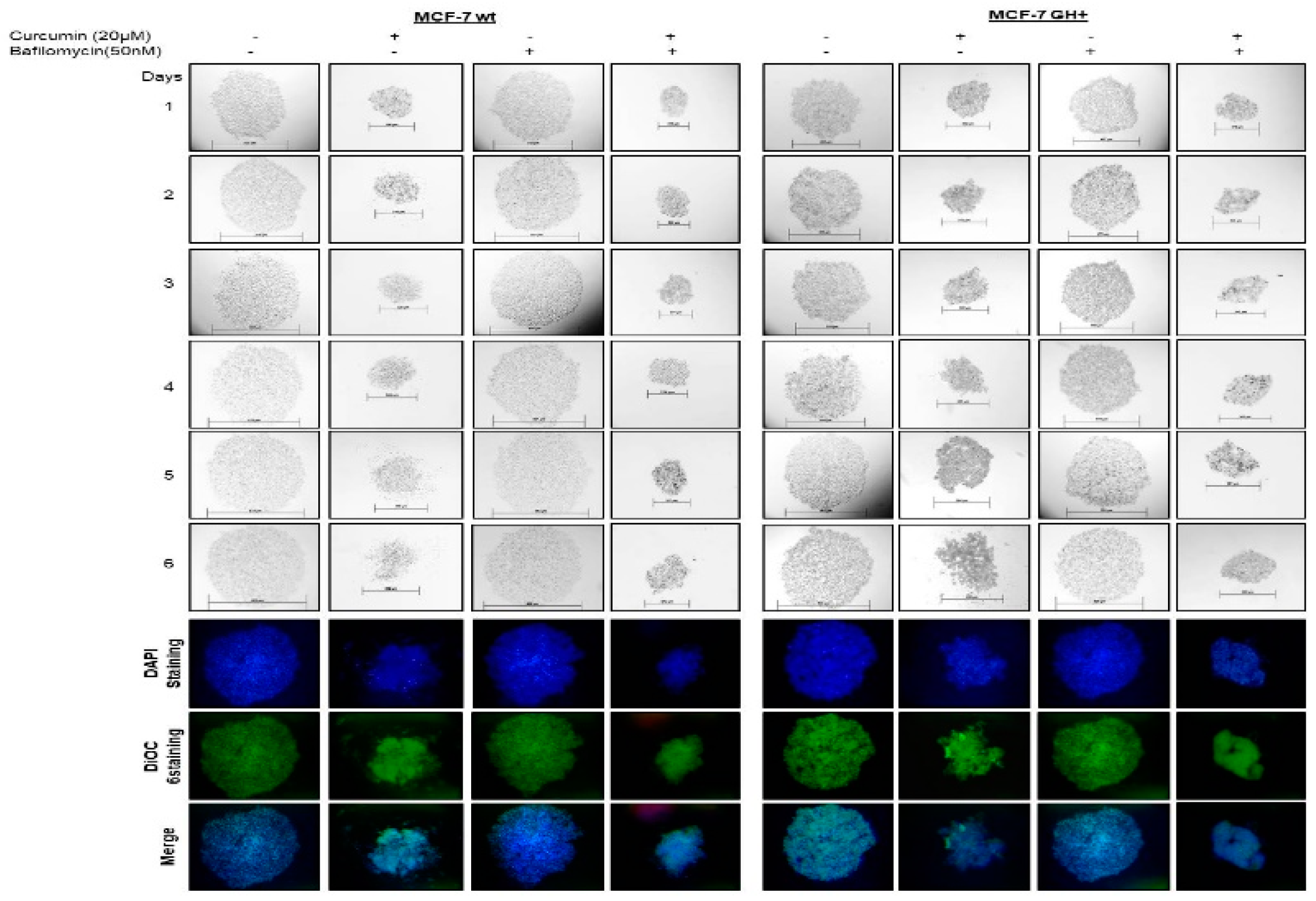 Proceedings 02 01568 g003 550