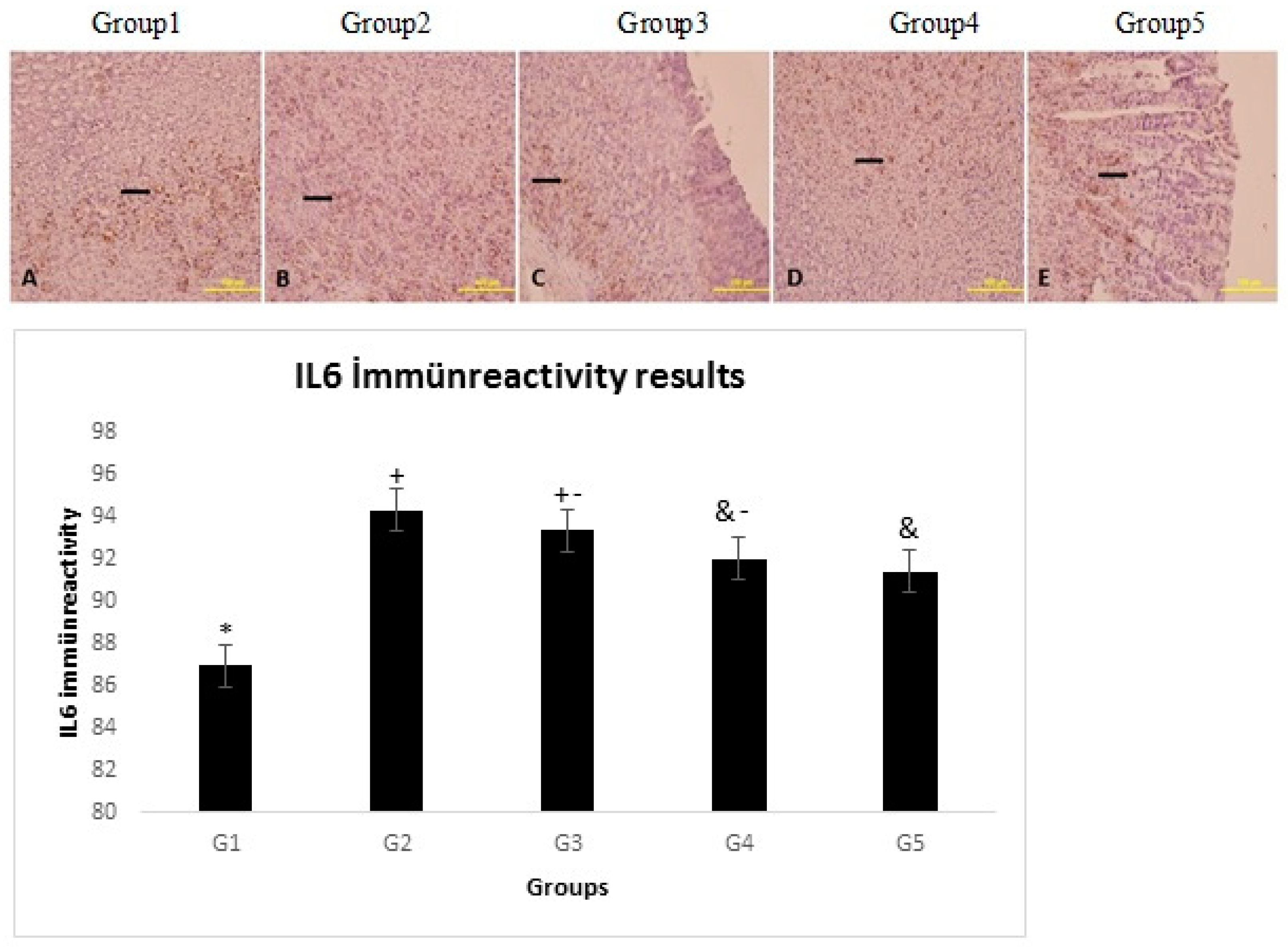 Proceedings 02 01570 g001 550