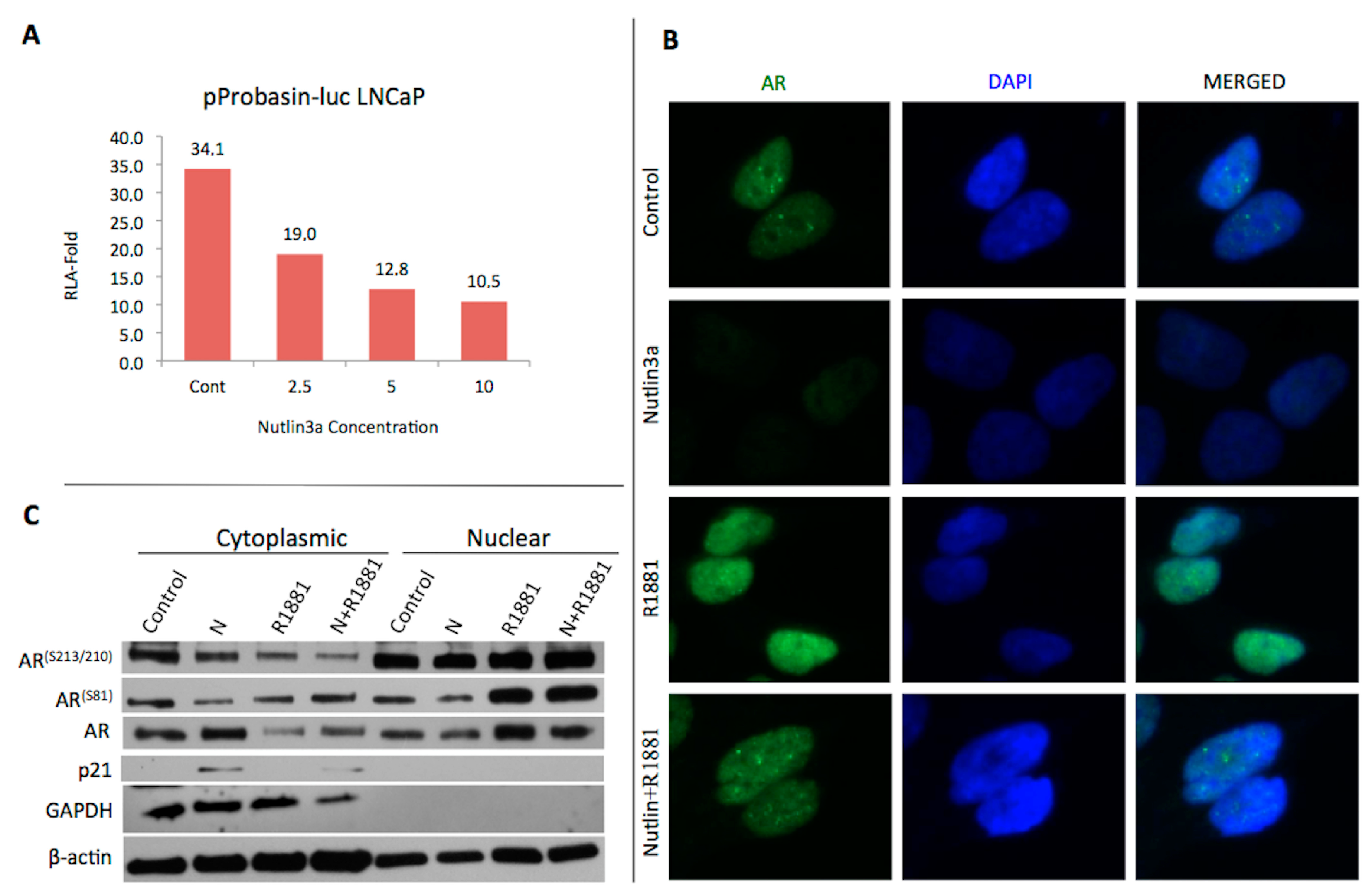 Proceedings 02 01580 g001 550