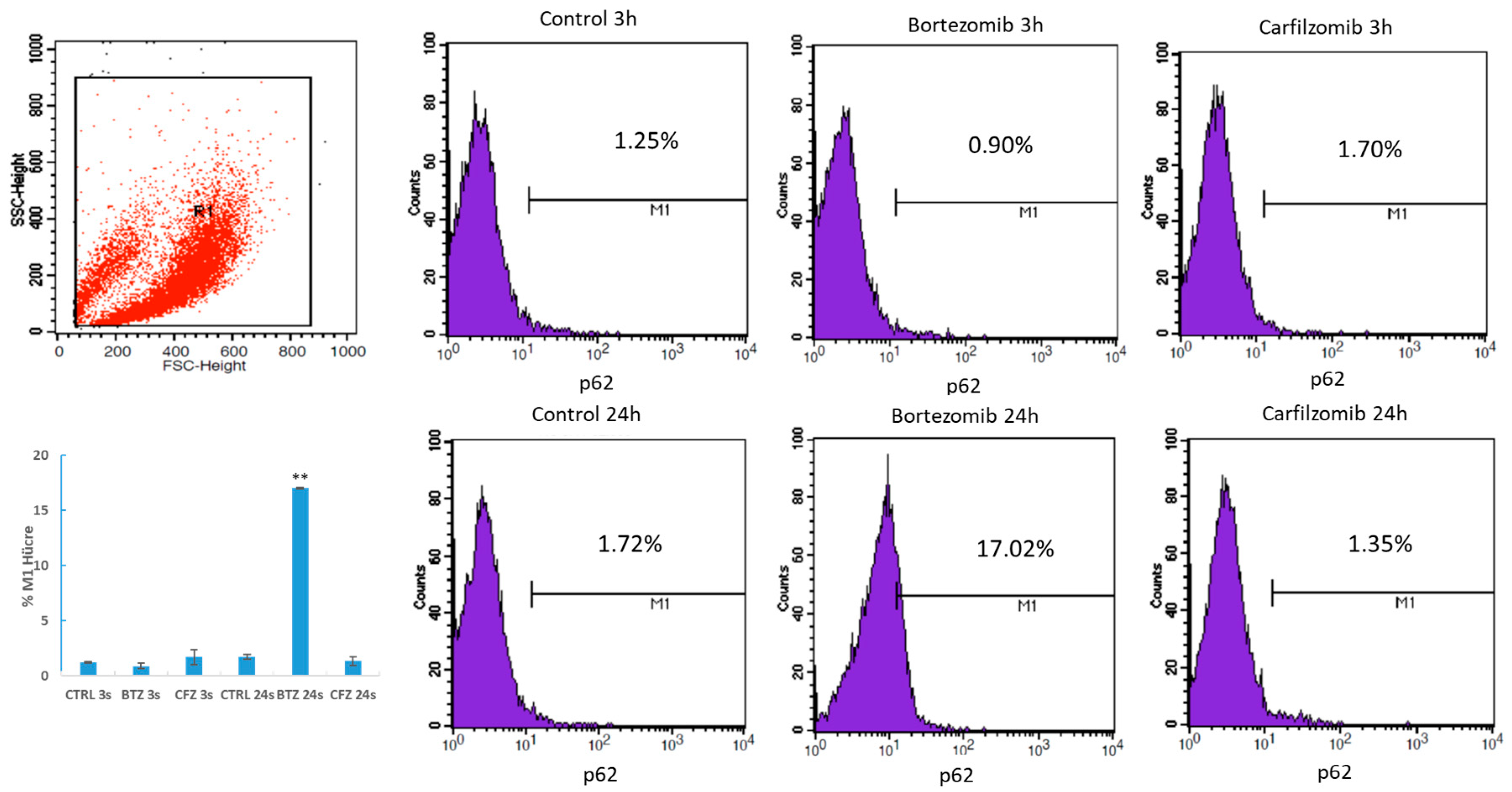 Proceedings 02 01583 g003 550