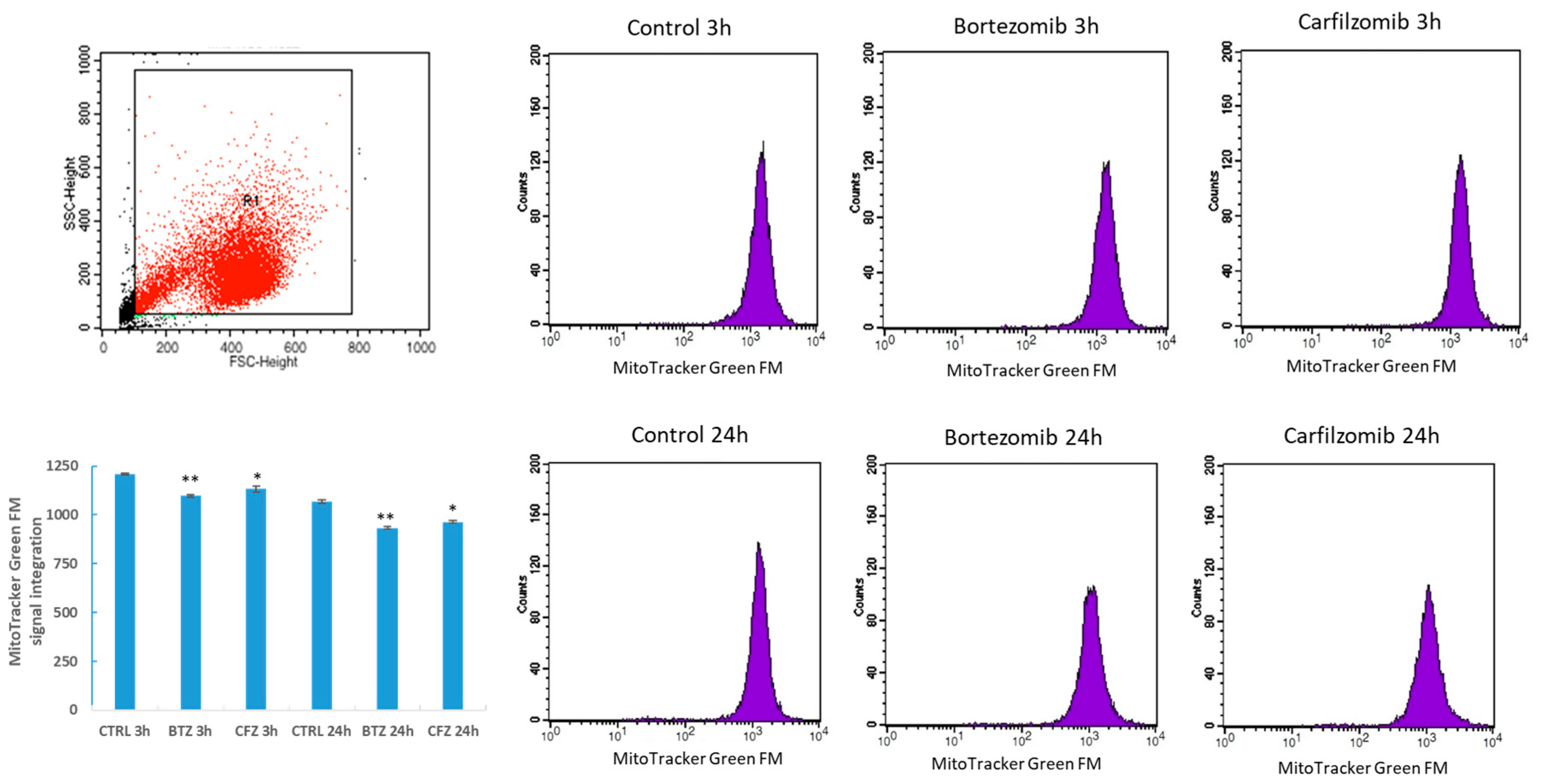 Proceedings 02 01583 g004 550