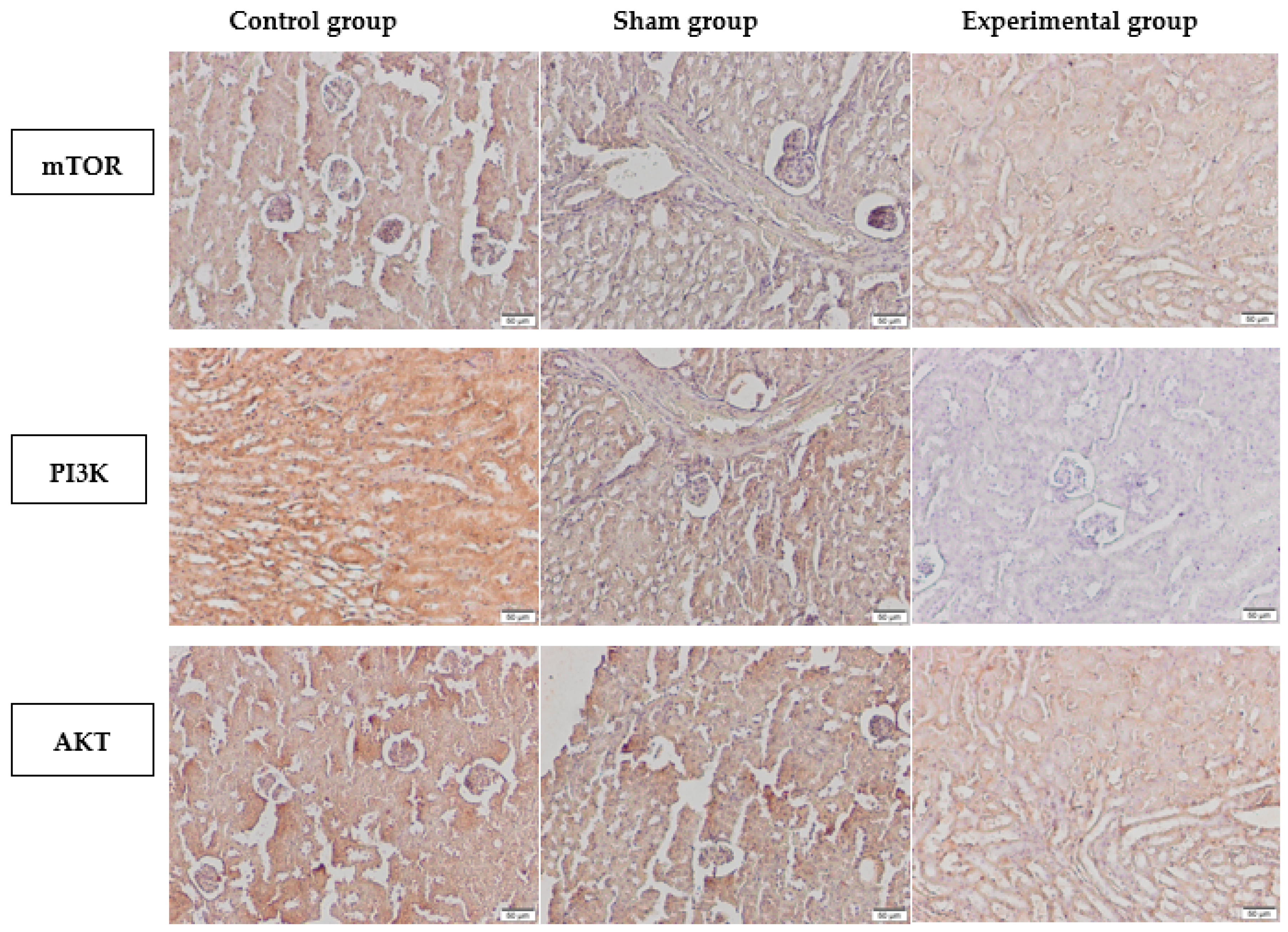 Proceedings 02 01587 g001 550