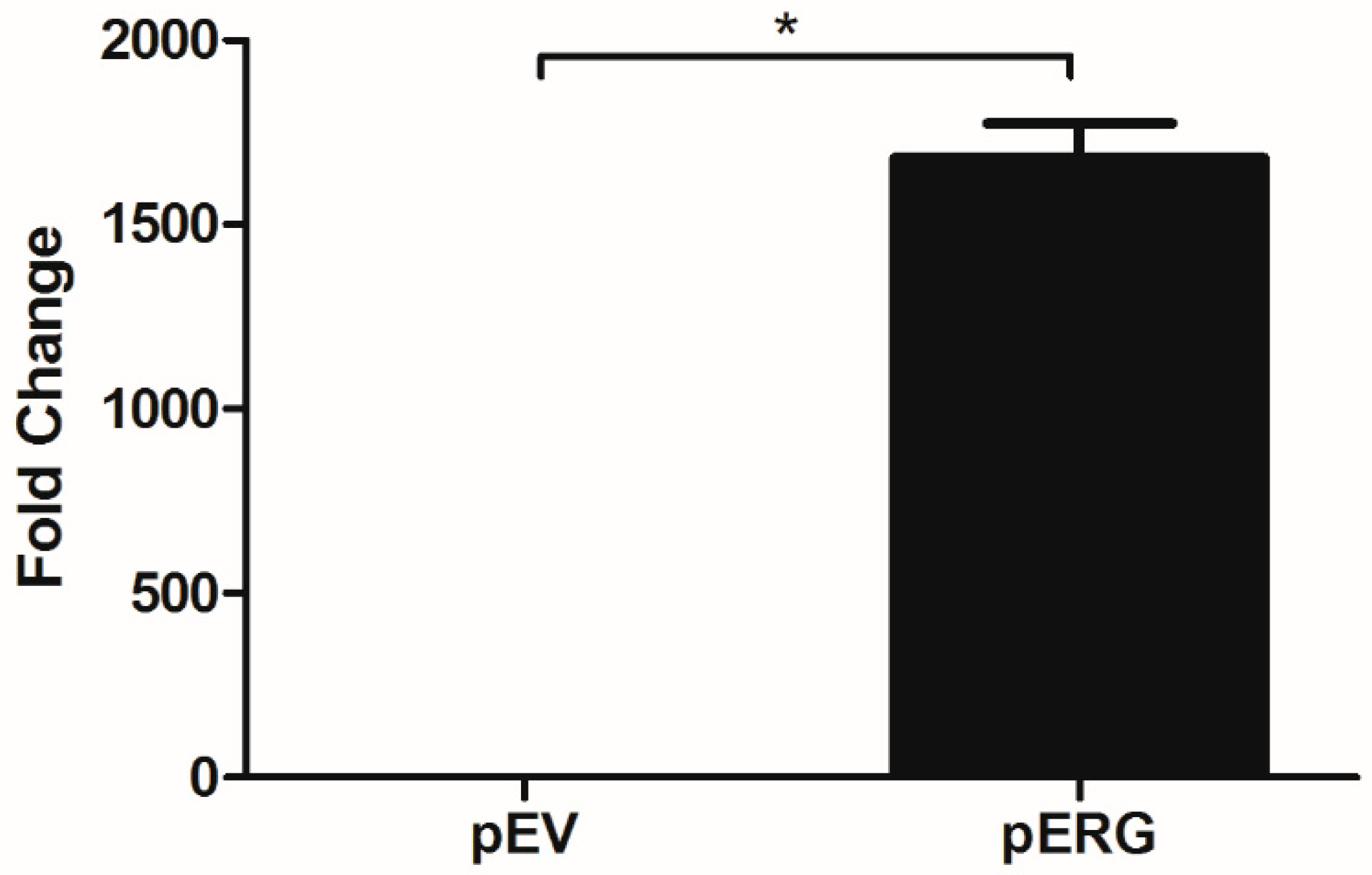 Proceedings 02 01589 g001 Proceedings 02 01589 g001