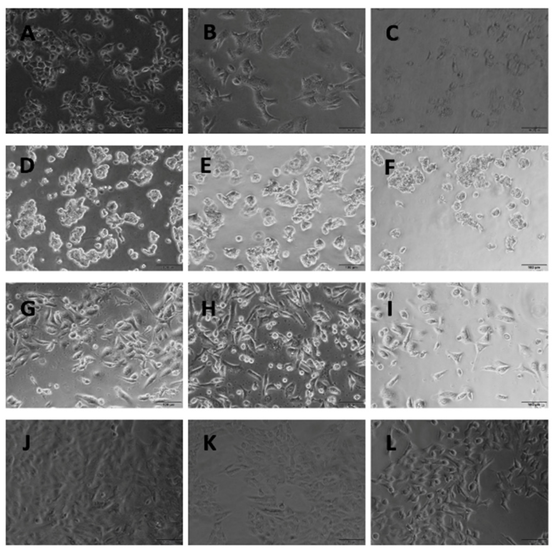 Proceedings 02 01593 g001