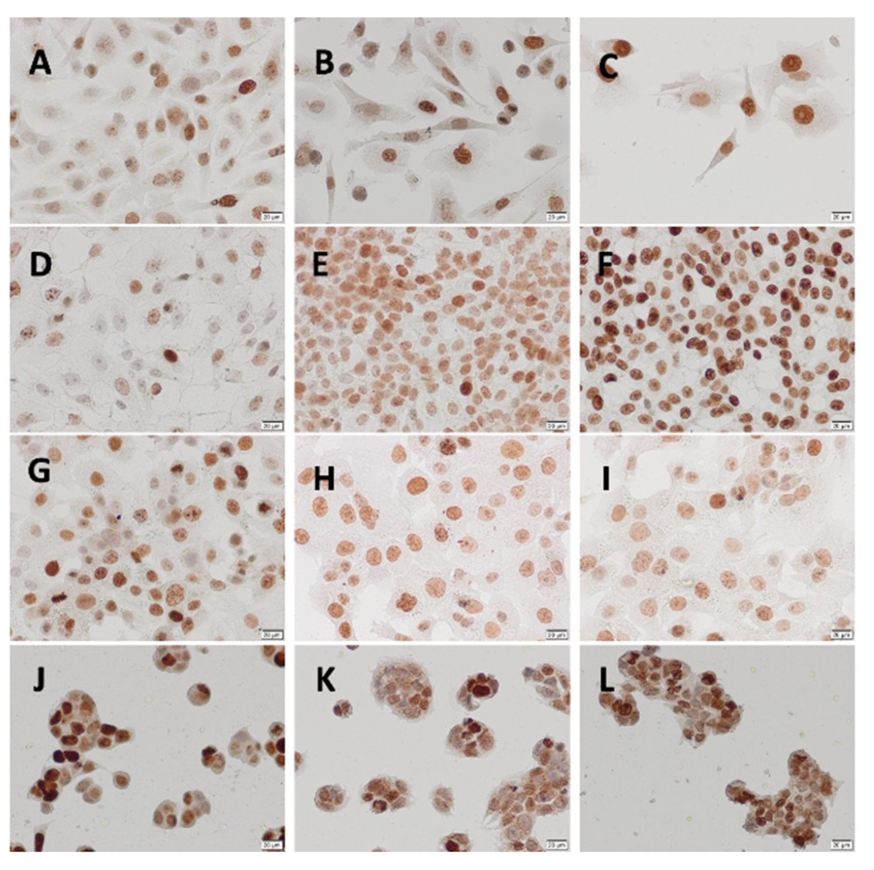 Proceedings 02 01593 g002