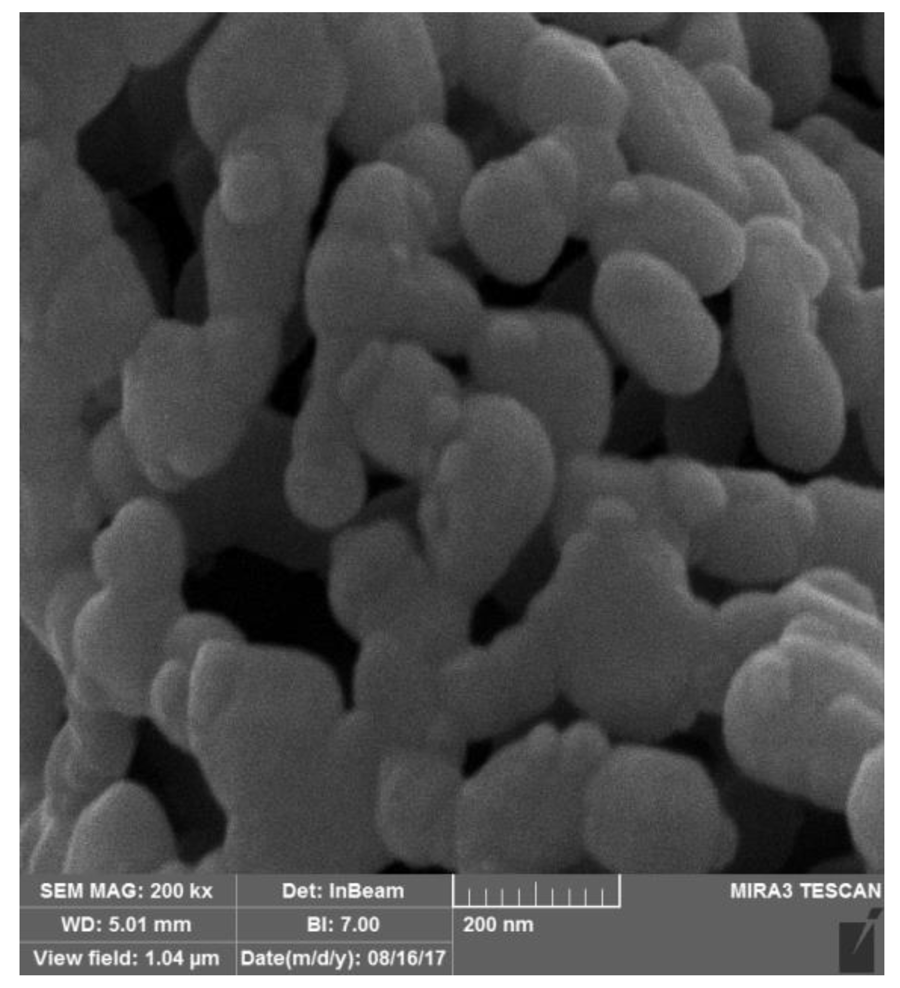 Proceedings 02 05234 g002 550