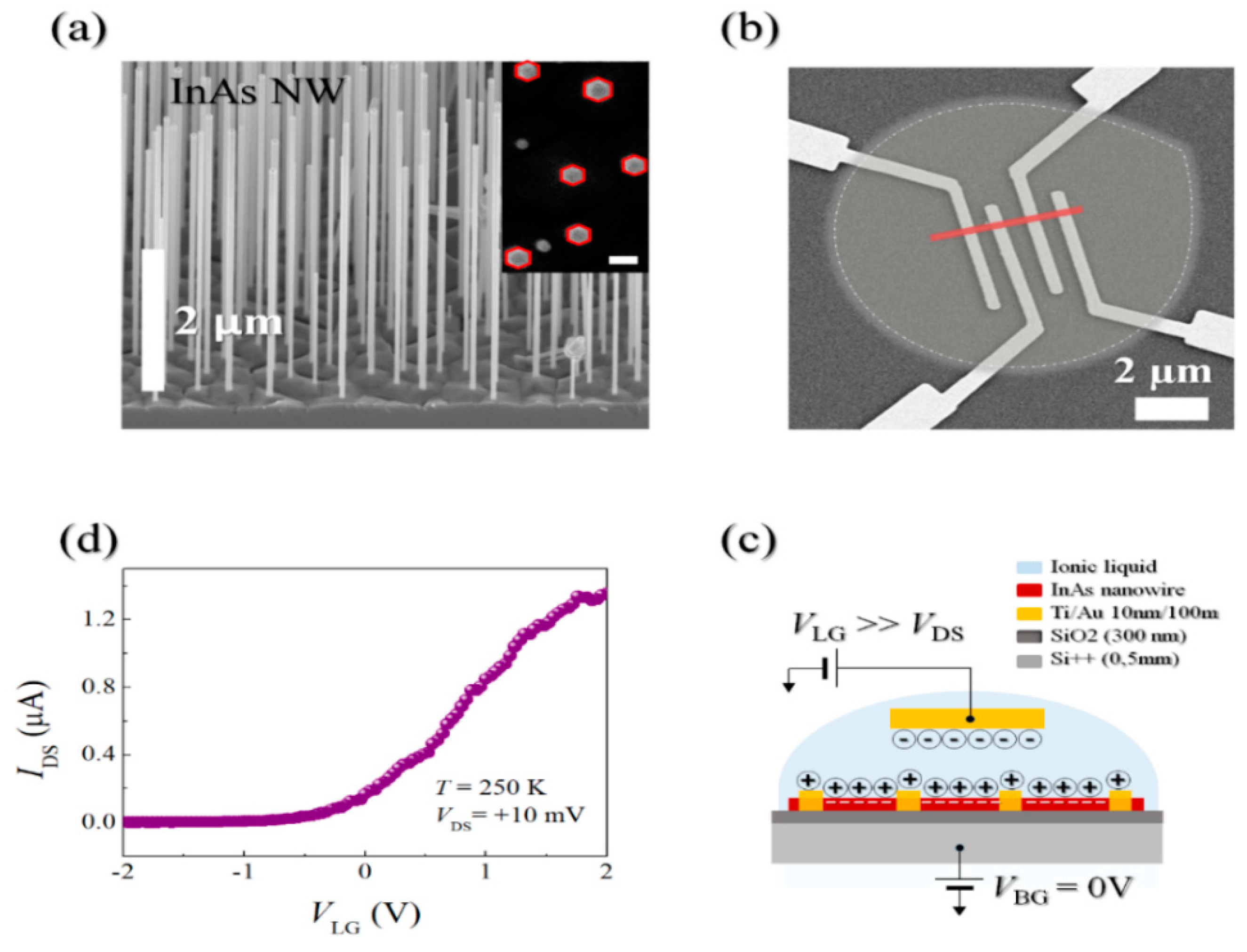 Proceedings 03 00005 g001