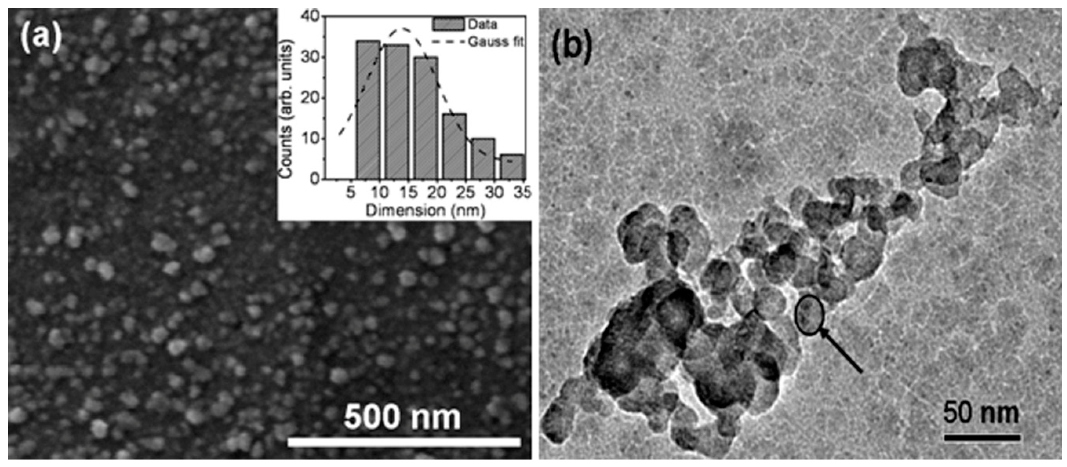 Proceedings 03 00010 g001