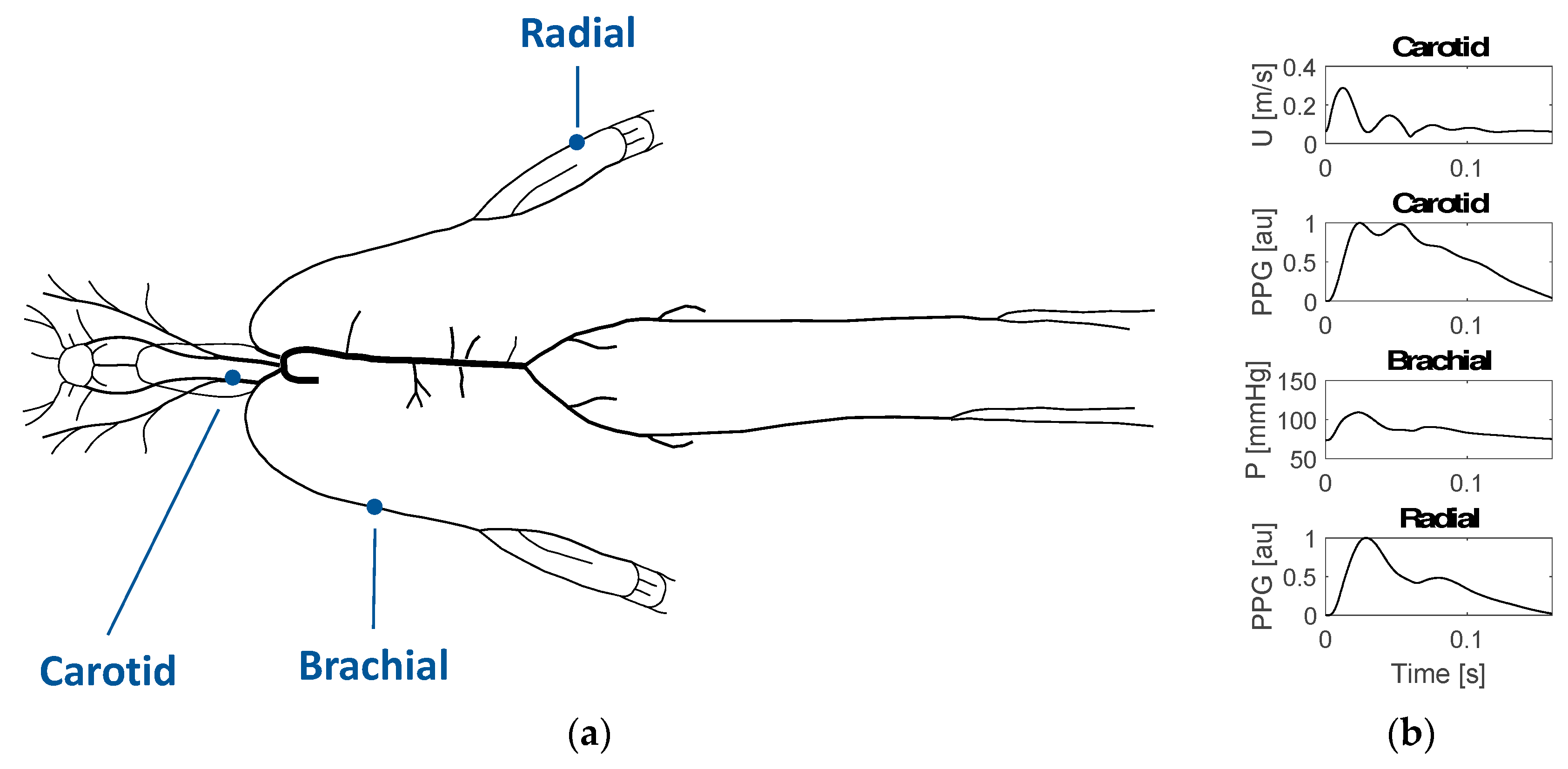 Proceedings 04 00008 g001 Proceedings 04 00008 g001
