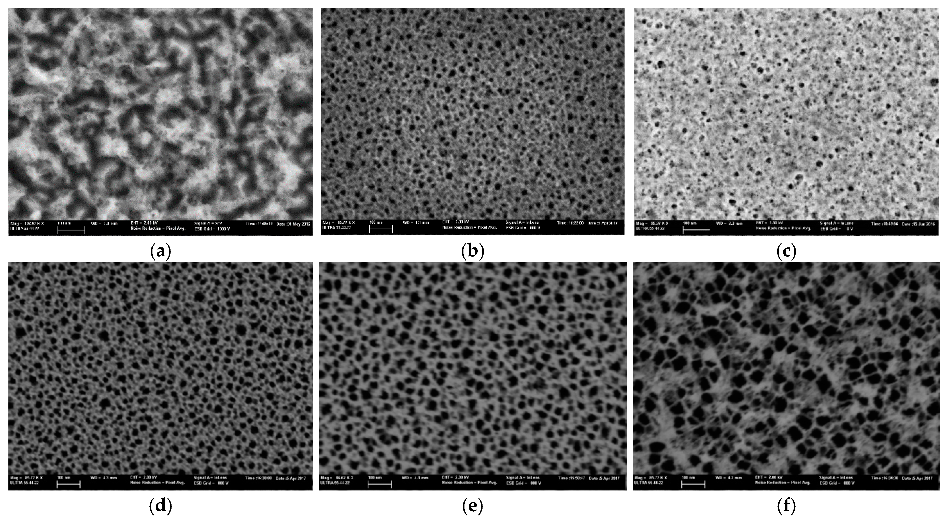Proceedings 04 00014 g001