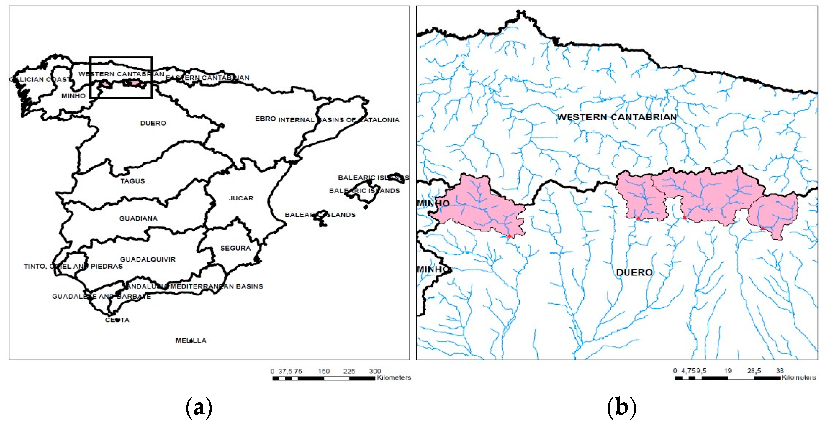 Proceedings 07 00014 g001