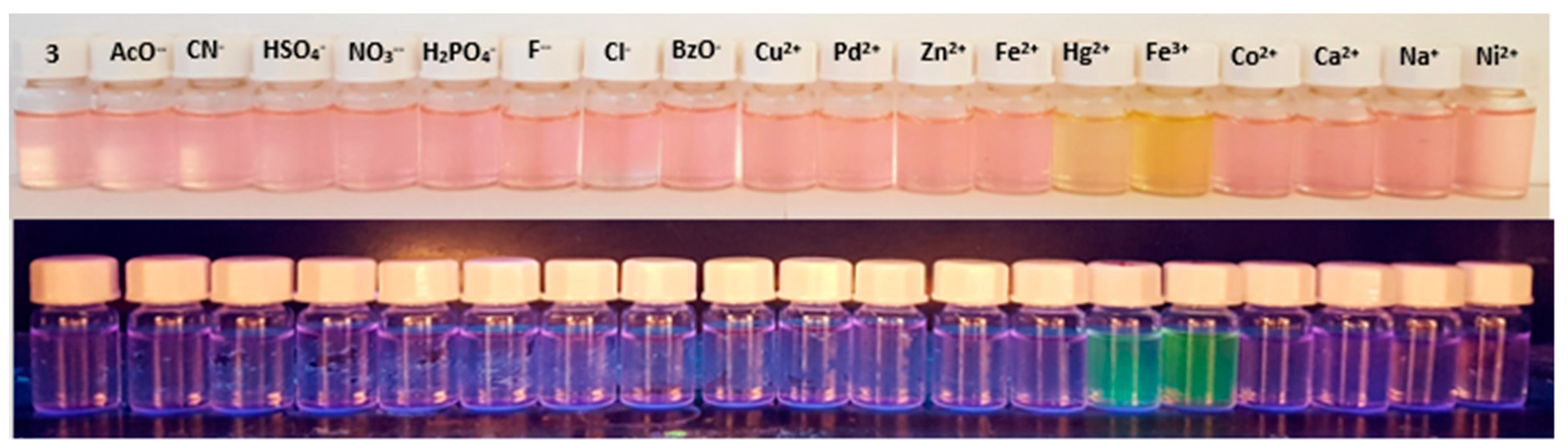 Proceedings 09 00010 g005