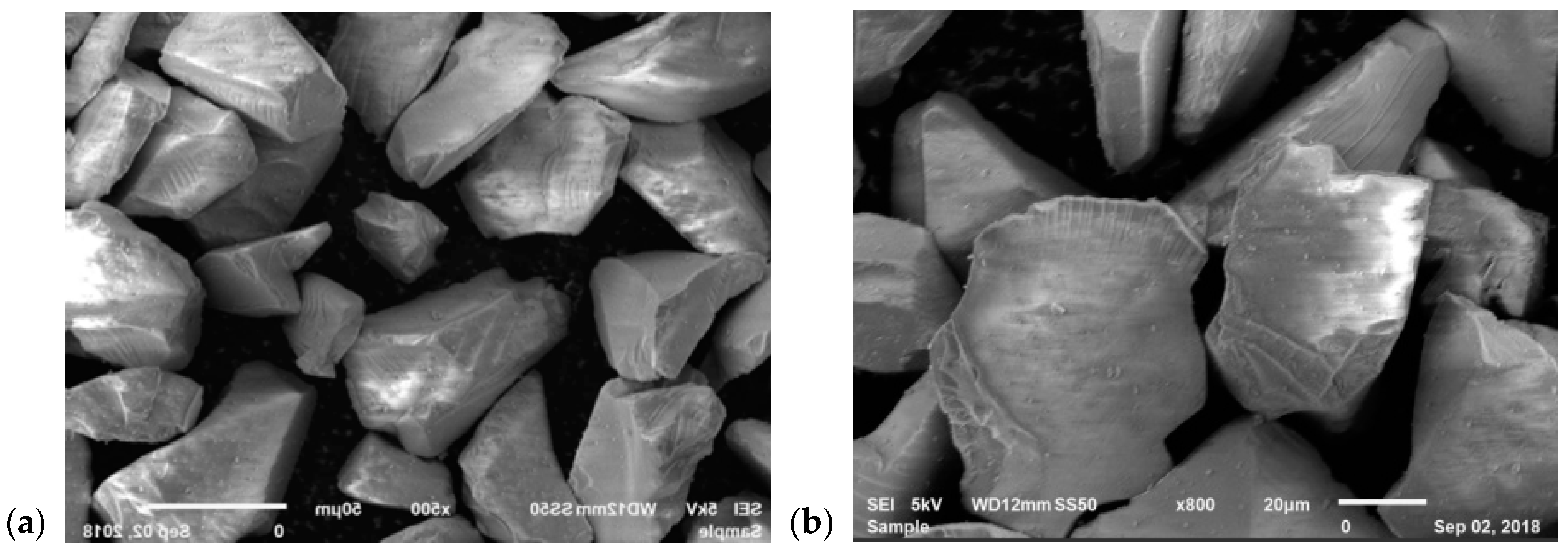 Proceedings 09 00057 g003