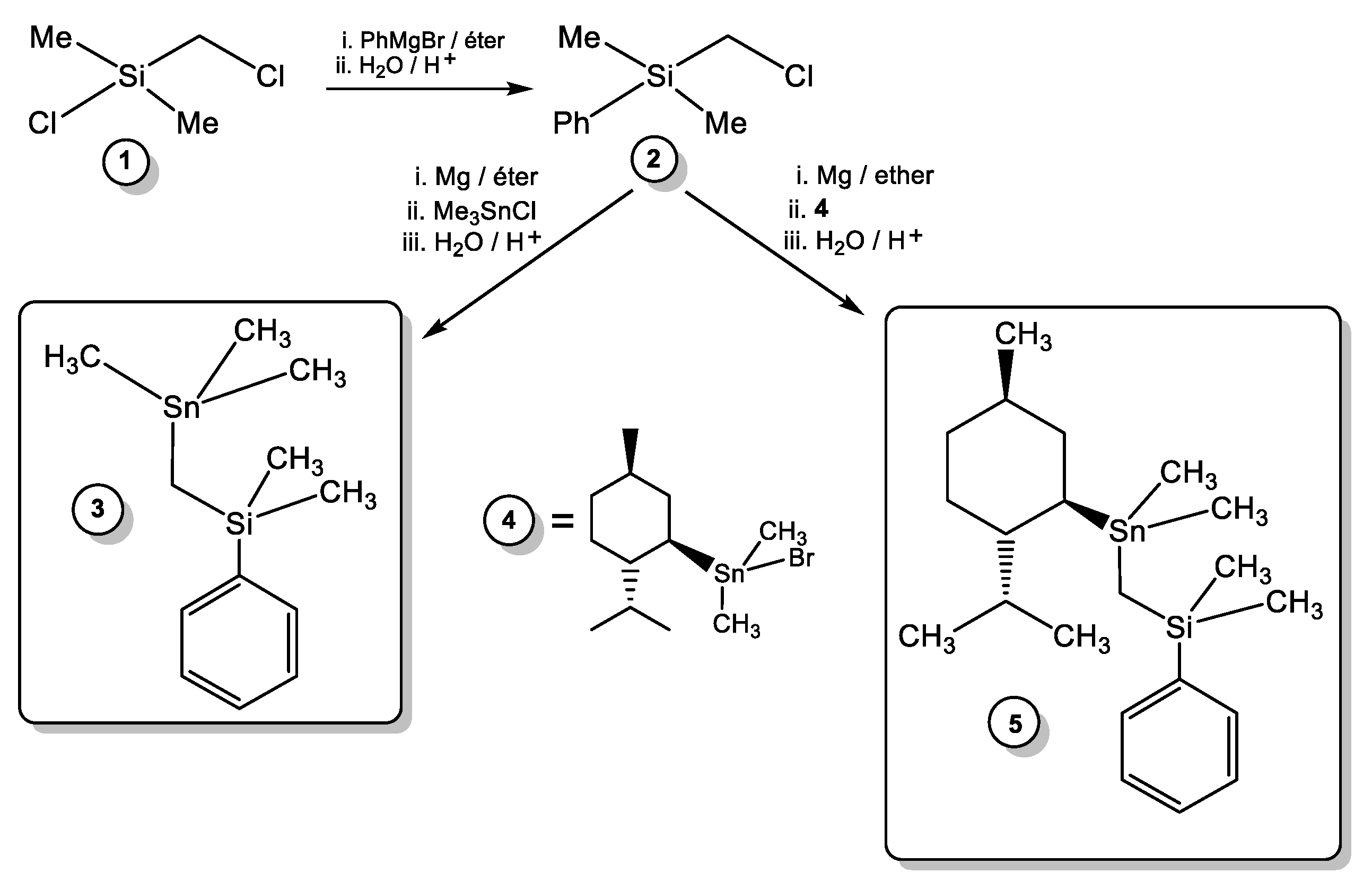 Proceedings 09 00062 sch001