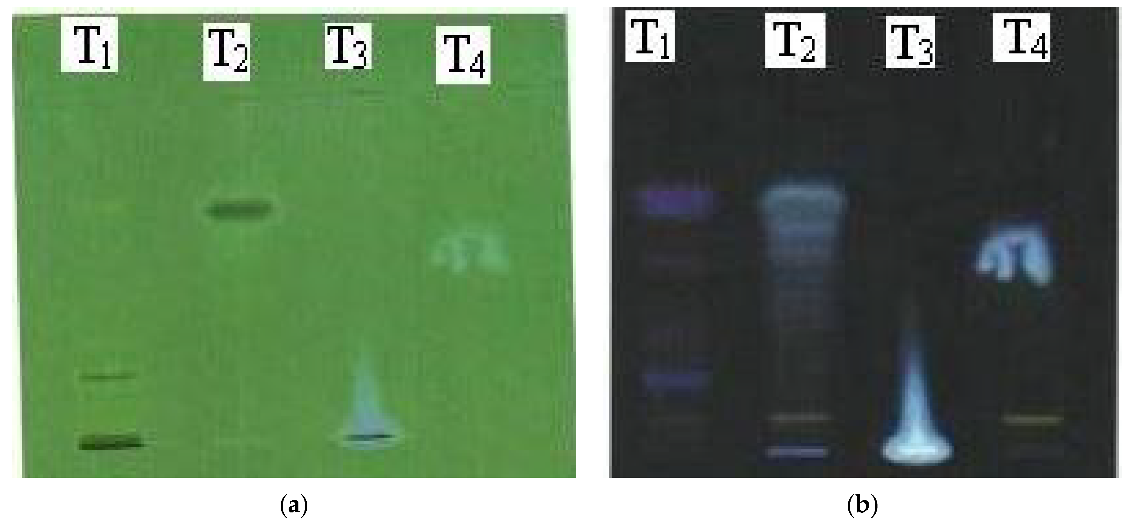 Proceedings 09 00069 g001