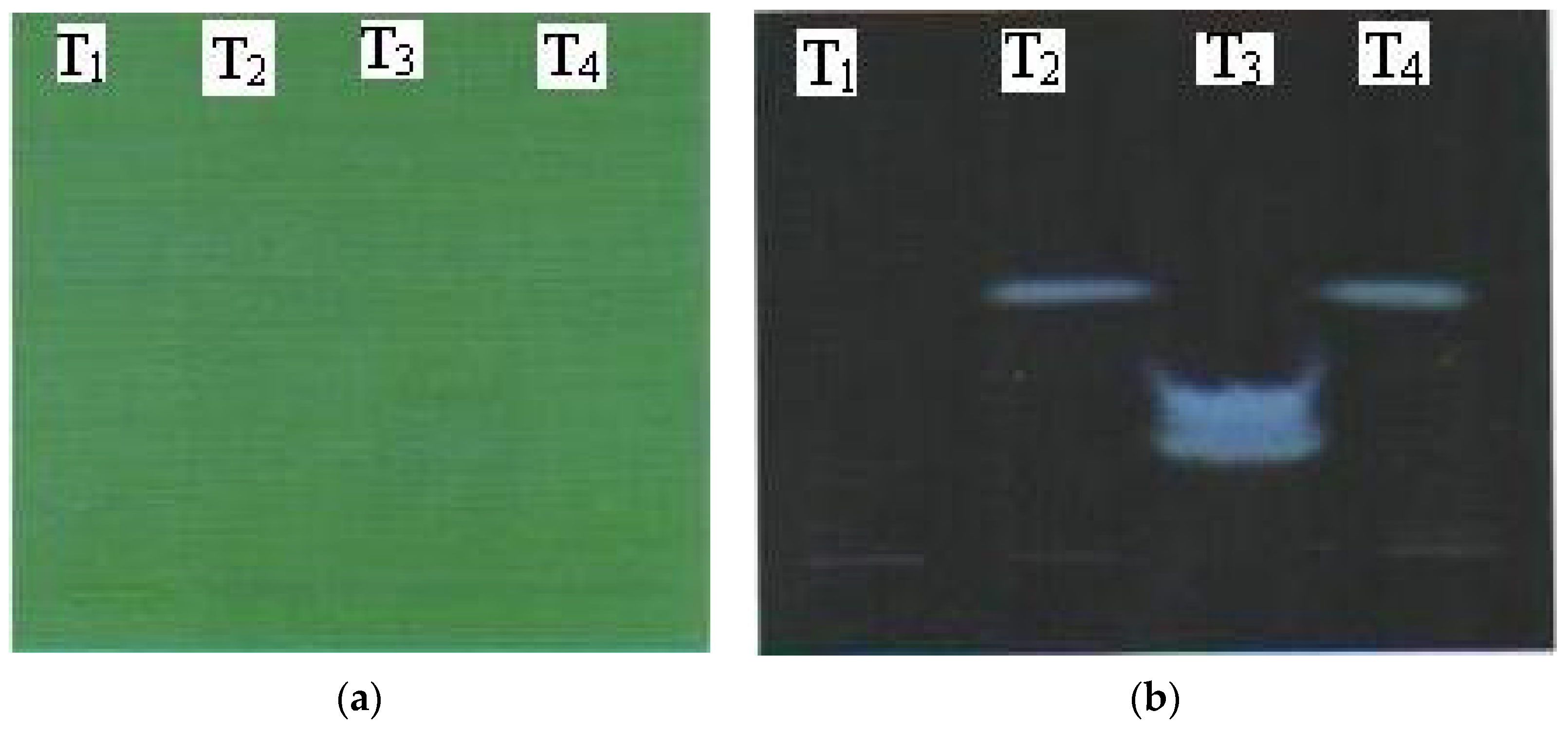 Proceedings 09 00069 g002