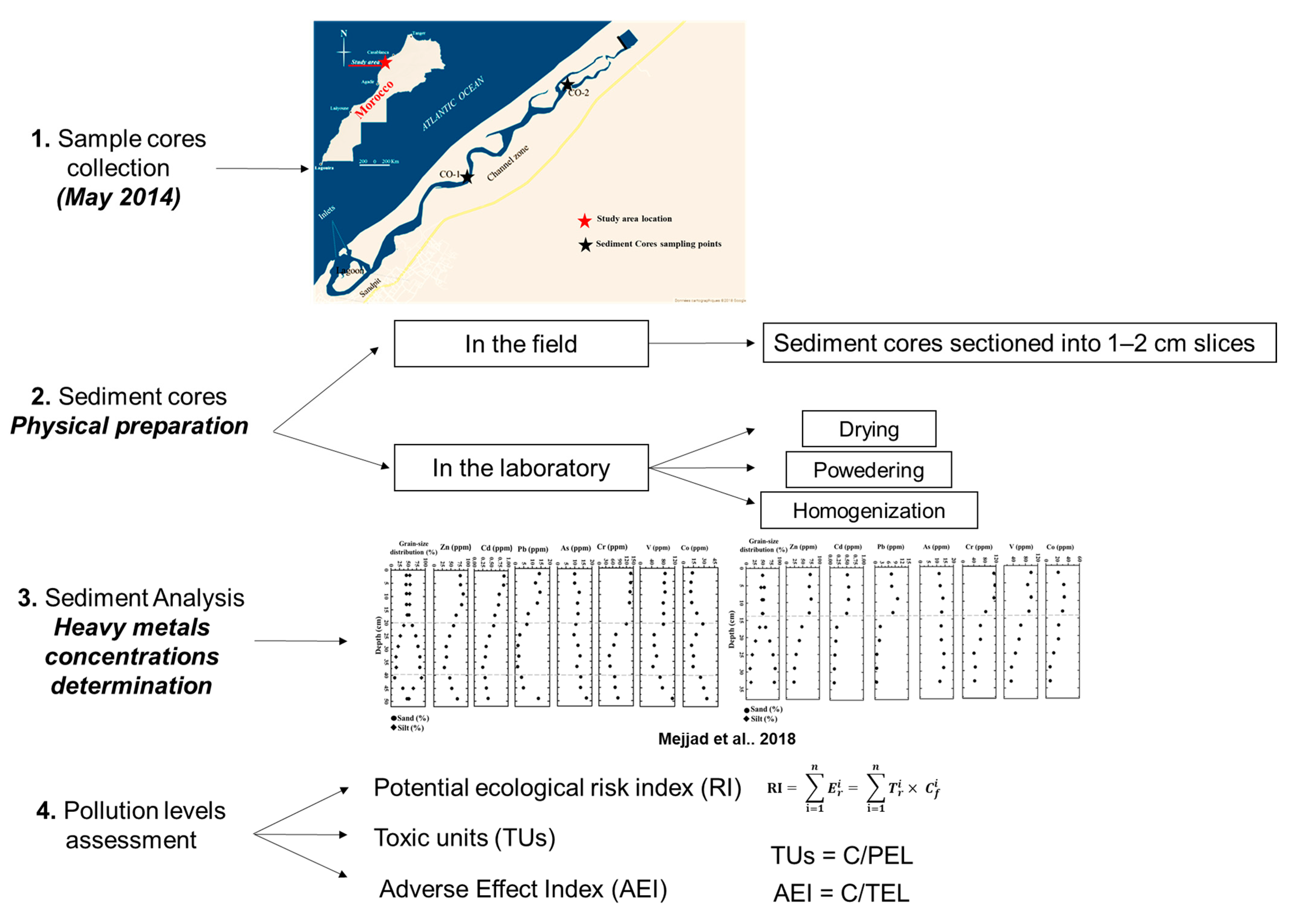 Proceedings 102 00053 g001