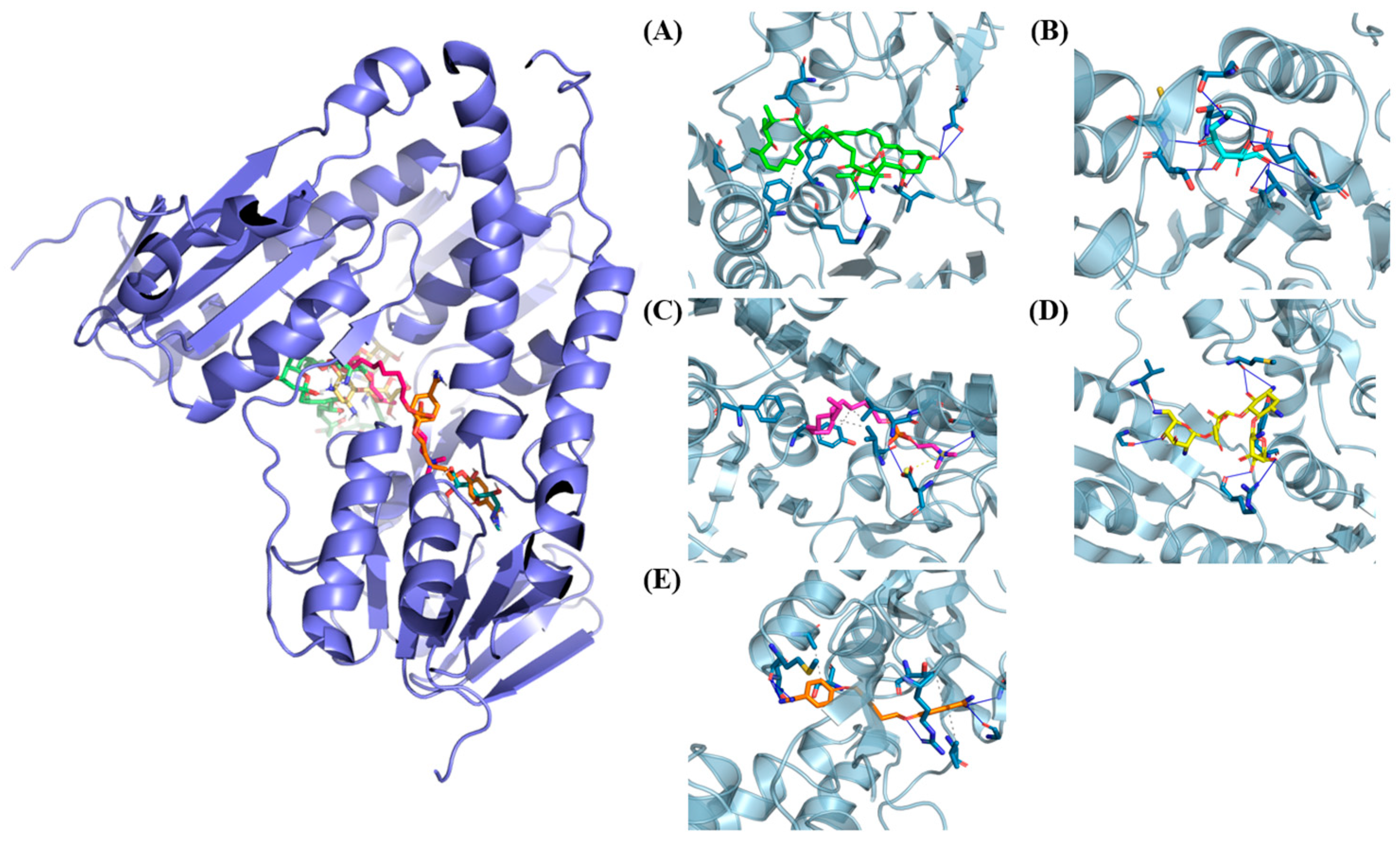 Proceedings 102 00055 g004