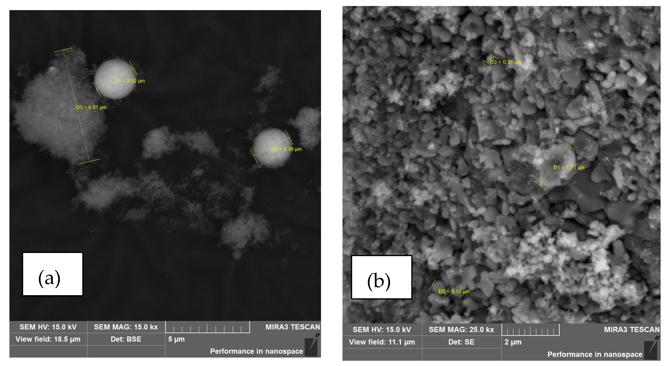 Proceedings 108 00008 g004 Proceedings 108 00008 g004