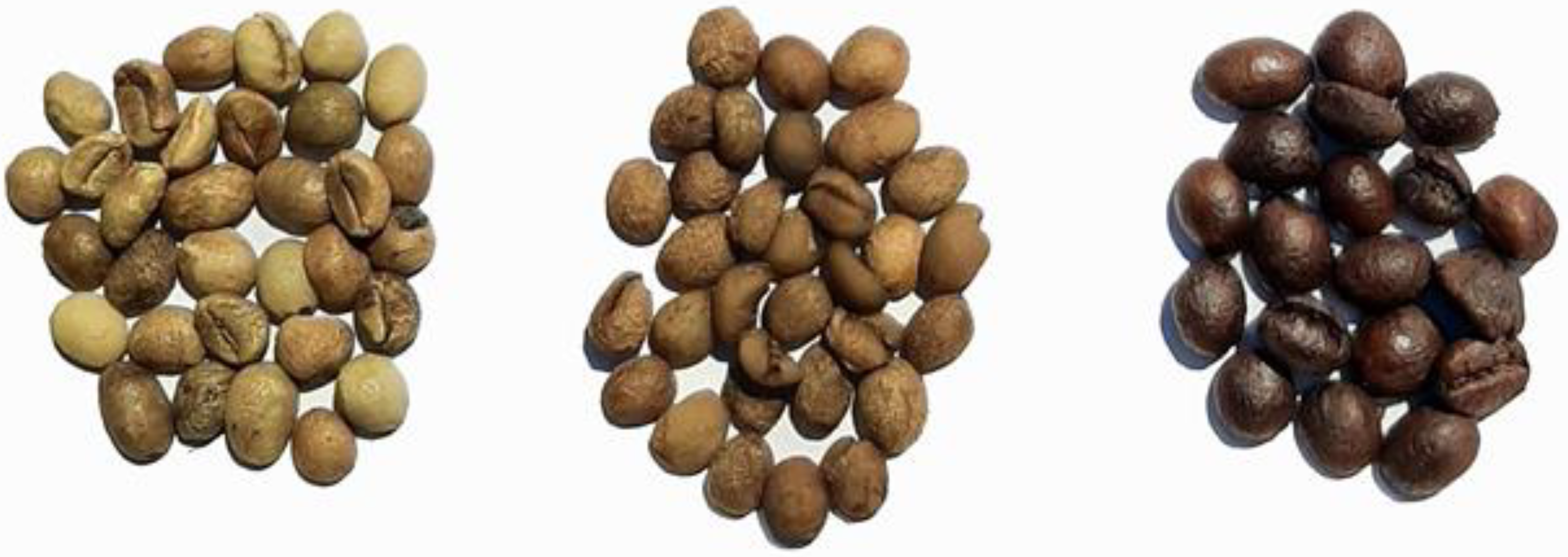 Proceedings 109 00018 g001